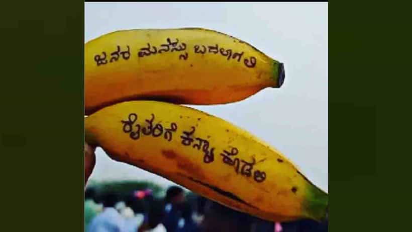 ರೈತರಿಗೆ ಕನ್ಯಾ ಕೊಡಲಿ; ಇನ್ಸ್ಟಾಗ್ರಾಂನಲ್ಲಿ ಹಳ್ಳಿಹೈದರಿಂದ ‘ಬಾಳೆಹಣ್ಣಿನ ಅಭಿಯಾನ’