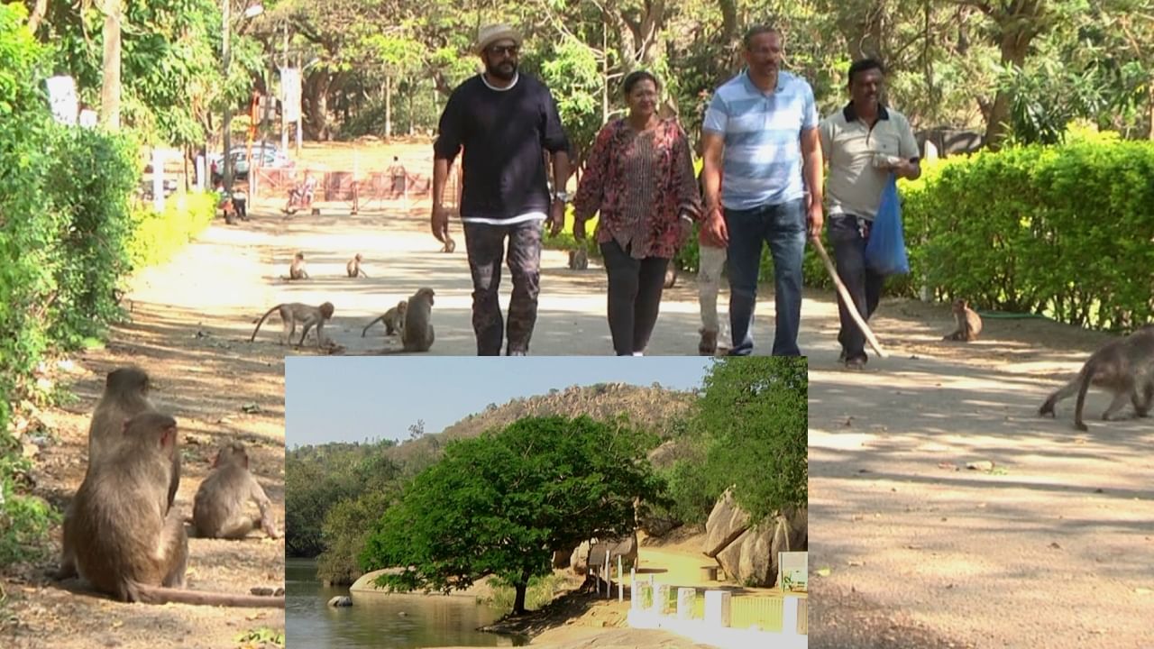 Monkey Menace - ಚಿತ್ರದುರ್ಗ: ಐತಿಹಾಸಿಕ ಚಂದ್ರವಳ್ಳಿಯಲ್ಲಿ ಮಂಗಗಳ ಕಾಟ ಹೇಗಿದೆ ಗೊತ್ತಾ!? Monkey Menace - ಚಿತ್ರದುರ್ಗ: ಐತಿಹಾಸಿಕ ಚಂದ್ರವಳ್ಳಿಯಲ್ಲಿ ಮಂಗಗಳ ಕಾಟ ಹೇಗಿದೆ ಗೊತ್ತಾ!?