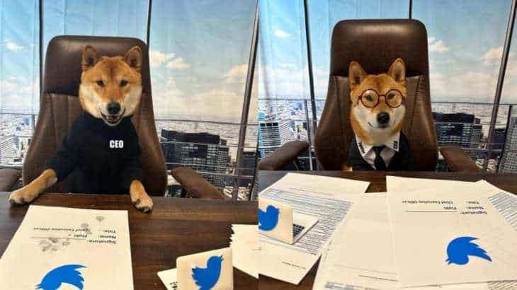 Twitter CEO: ಚೇರ್ ಮೇಲೆ ಕೂತ ನಾಯಿಯೇ ಟ್ವಿಟ್ಟರ್ ಸಿಇಒ; ಪರಾಗ್ಗಿಂತ ಇದೇ ಉತ್ತಮ ಎಂದು ಅಣಕಿಸಿದ ಮಸ್ಕ್ Twitter CEO: ಚೇರ್ ಮೇಲೆ ಕೂತ ನಾಯಿಯೇ ಟ್ವಿಟ್ಟರ್ ಸಿಇಒ; ಪರಾಗ್ಗಿಂತ ಇದೇ ಉತ್ತಮ ಎಂದು ಅಣಕಿಸಿದ ಮಸ್ಕ್