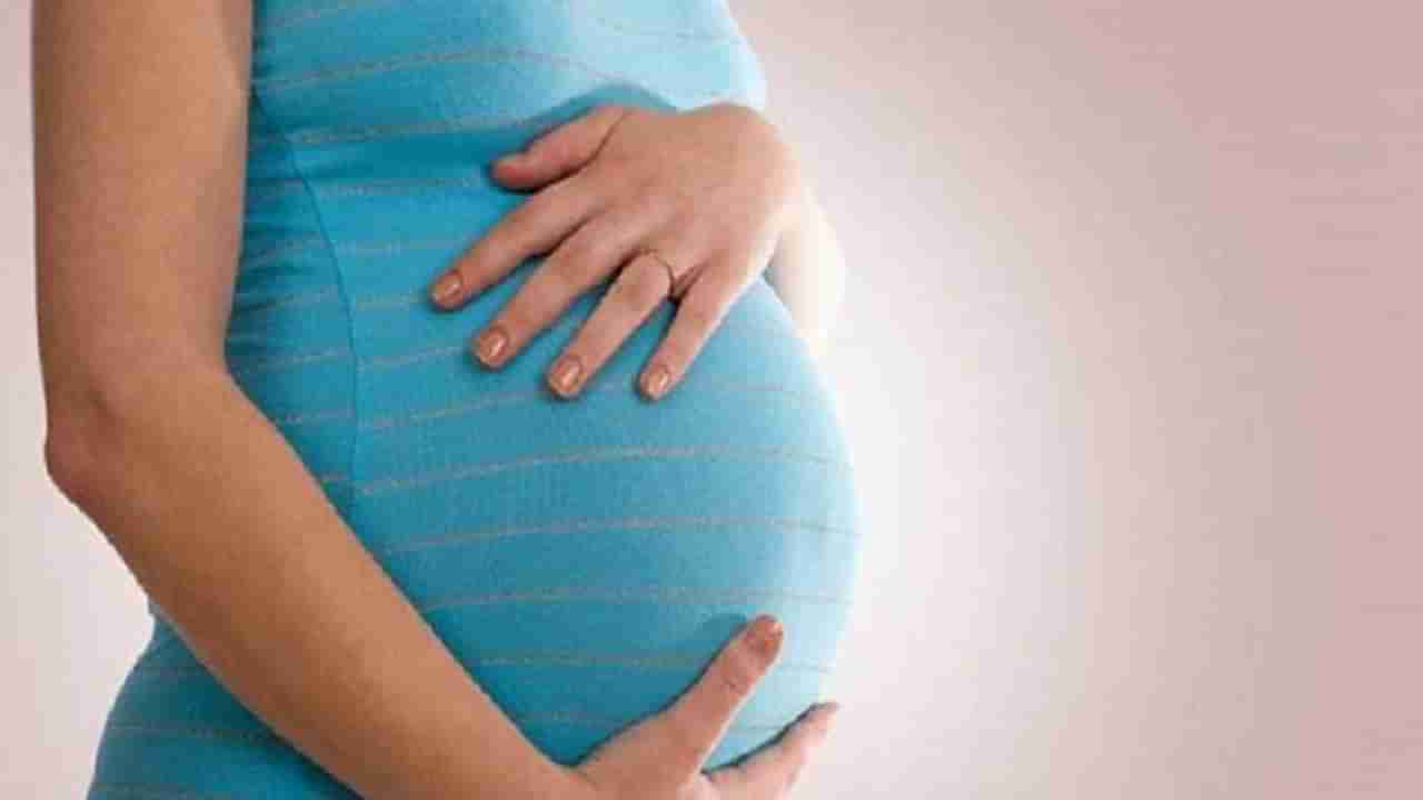 Pregnant Health: ಗರ್ಭಿಣಿಯರೇ ಗಮನಿಸಿ; ನಿಮ್ಮ ರೋಗನಿರೋಧಕ ಶಕ್ತಿಯನ್ನು ಹೆಚ್ಚಿಸುವ 6 ಅಂಶಗಳಿವು