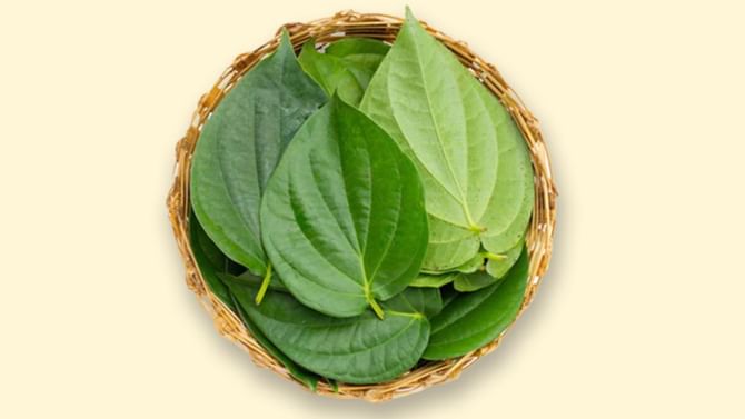 Health Tips: ವೀಳ್ಯದೆಲೆ ಸೇವನೆಯಿಂದ ಎಷ್ಟೆಲ್ಲಾ ಆರೋಗ್ಯ ಪ್ರಯೋಜನಗಳಿವೆ ತಿಳಿಯಿರಿ