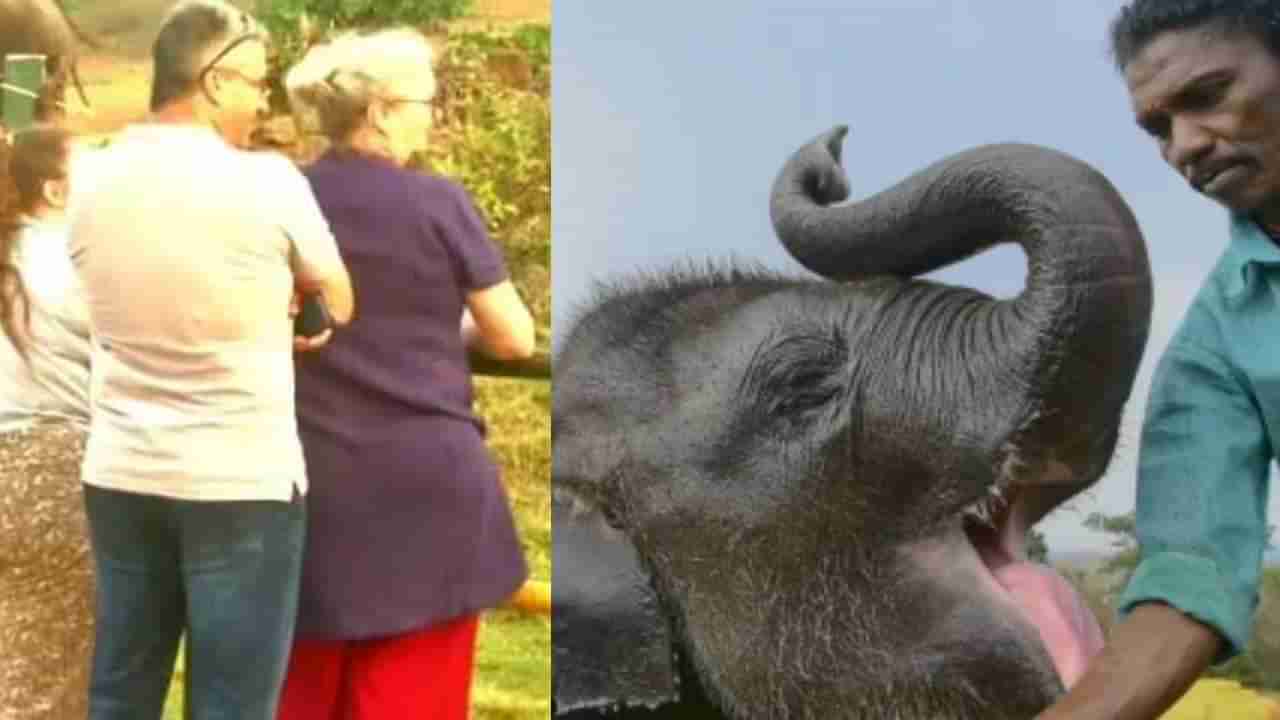 ಆಸ್ಕರ್ ಮುಡಿಗೇರಿಸಿಕೊಂಡ ರಘುವನ್ನು ನೋಡಲು ತೆಪ್ಪಕಾಡು ಆನೆ ಶಿಬಿರದಲ್ಲಿ ಜನಸಾಗರ