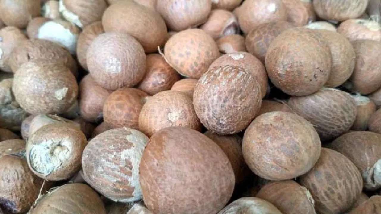 Areca Nut Price: ಇಂದಿನ ಅಡಿಕೆ ಮಾರುಕಟ್ಟೆ ಧಾರಣೆ: ಎಲ್ಲೆಲ್ಲಿ ಅಡಿಕೆ ಧಾರಣೆ ಎಷ್ಟಿದೆ: ಇಲ್ಲಿದೆ ಮಾಹಿತಿ