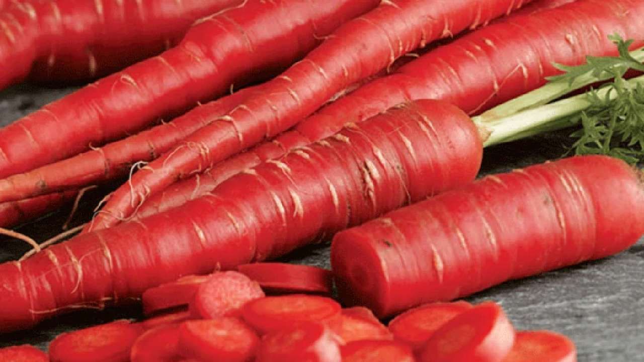 Health Benefits of Carrots Experts say that eating raw carrots is good for health tips in kannada