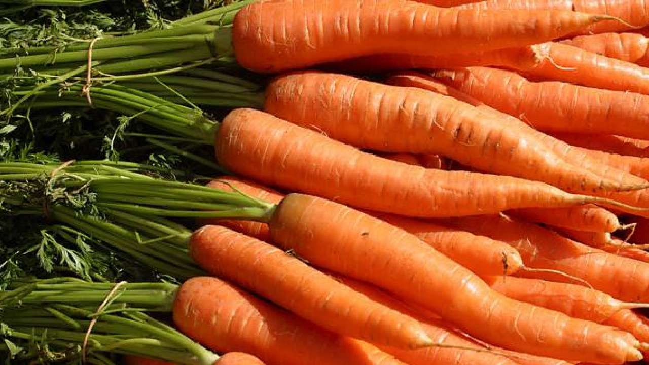 Health Benefits of Carrots Experts say that eating raw carrots is good for health tips in kannada