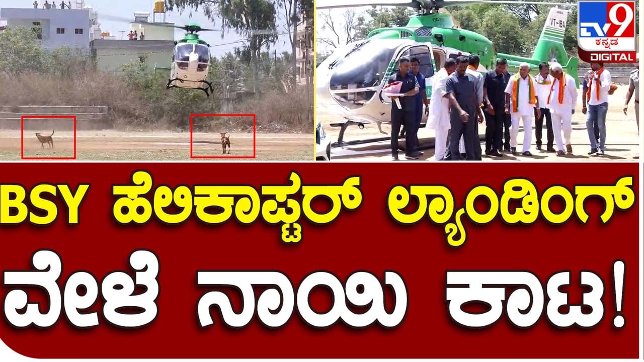 Tumakuru: ಬಿಎಸ್ ಯಡಿಯೂರಪ್ಪರನ್ನು ಹೊತ್ತ ಹೆಲಿಕ್ಯಾಪ್ಟರ್ ಲ್ಯಾಂಡ್ ಅಗುವಾಗ ಪುನಃ ಎದುರಾದ ಸಮಸ್ಯೆ, ಹೆಲಿಪ್ಯಾಡ್​ನಲ್ಲಿ ನಾಯಿಗಳು!