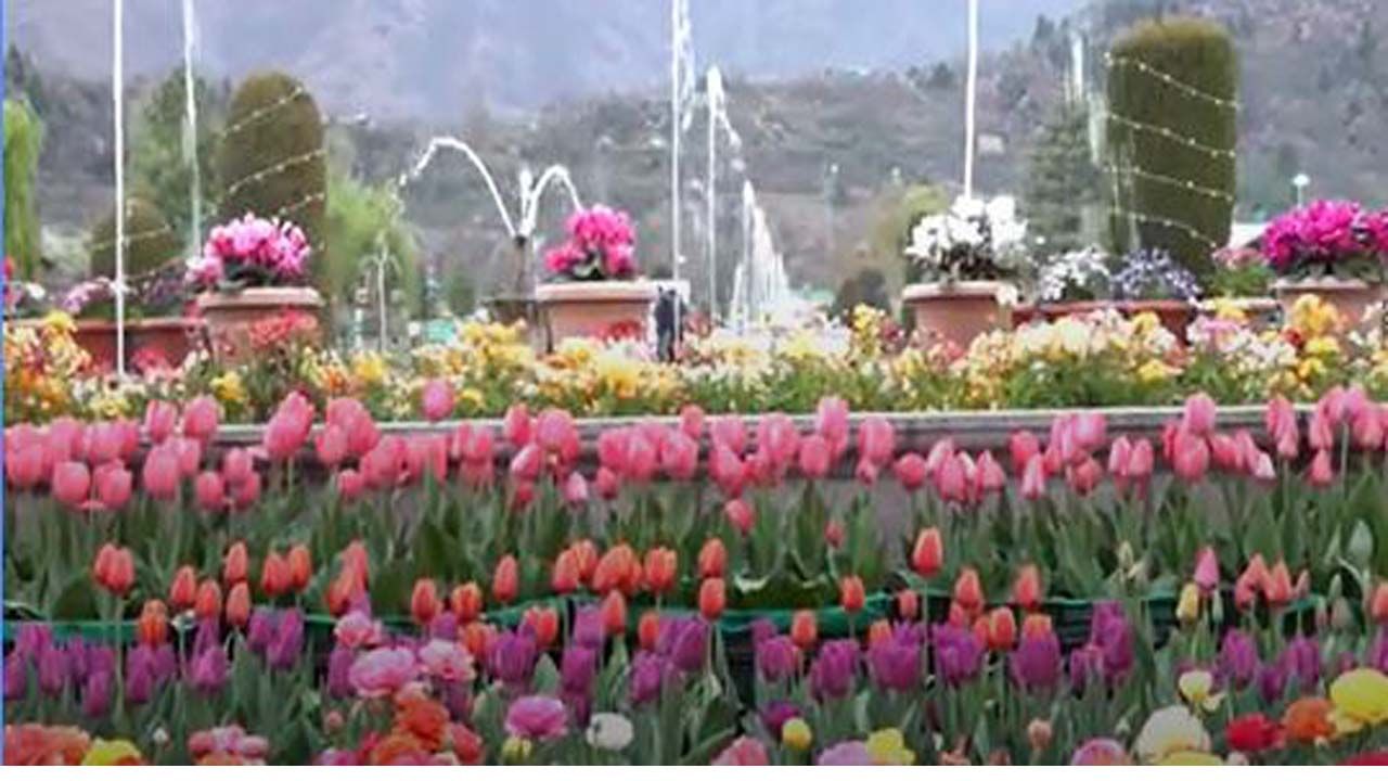 Tulip Garden: ಶ್ರೀನಗರದ ಖ್ಯಾತ ಇಂದಿರಾ ಗಾಂಧಿ ಟ್ಯೂಲಪ್ ಉದ್ಯಾನವನವನ್ನು ಸಾರ್ಜಜನಿಕರ ಭೇಟಿಗೆ ಮುಕ್ತಗೊಳಿಸಲಾಗಿದೆ!