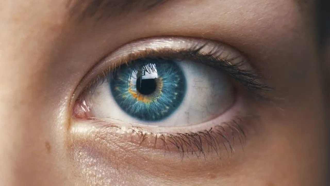 Eye Care: ವಯಸ್ಸಾದಂತೆ ದೃಷ್ಟಿ ಮಂಜಾಗುವ ಭಯ ಕಾಡುತ್ತಿದೆಯೇ? ಈ ಅಭ್ಯಾಸವನ್ನು ರೂಢಿಸಿಕೊಳ್ಳಿ Eye Care: ವಯಸ್ಸಾದಂತೆ ದೃಷ್ಟಿ ಮಂಜಾಗುವ ಭಯ ಕಾಡುತ್ತಿದೆಯೇ? ಈ ಅಭ್ಯಾಸವನ್ನು ರೂಢಿಸಿಕೊಳ್ಳಿ