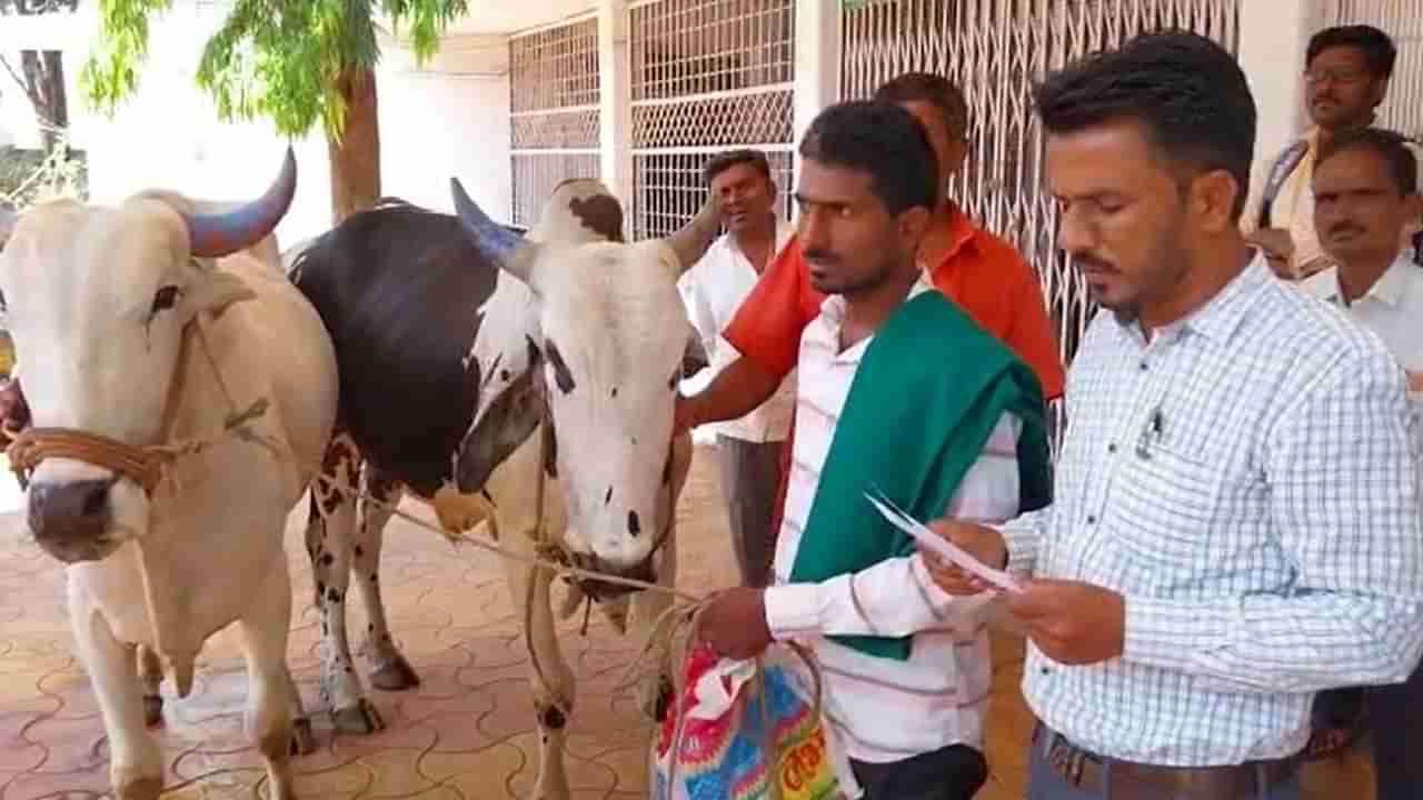 ಬೀದರ್​: ಗ್ರಾಮ ಪಂಚಾಯ್ತಿ ಅಧಿಕಾರಿಗೆ ಲಂಚ ನೀಡಲು ಹಣವಿಲ್ಲದೆ, ಎತ್ತುಗಳನ್ನೇ ನೀಡಲು ಮುಂದಾದ ರೈತ