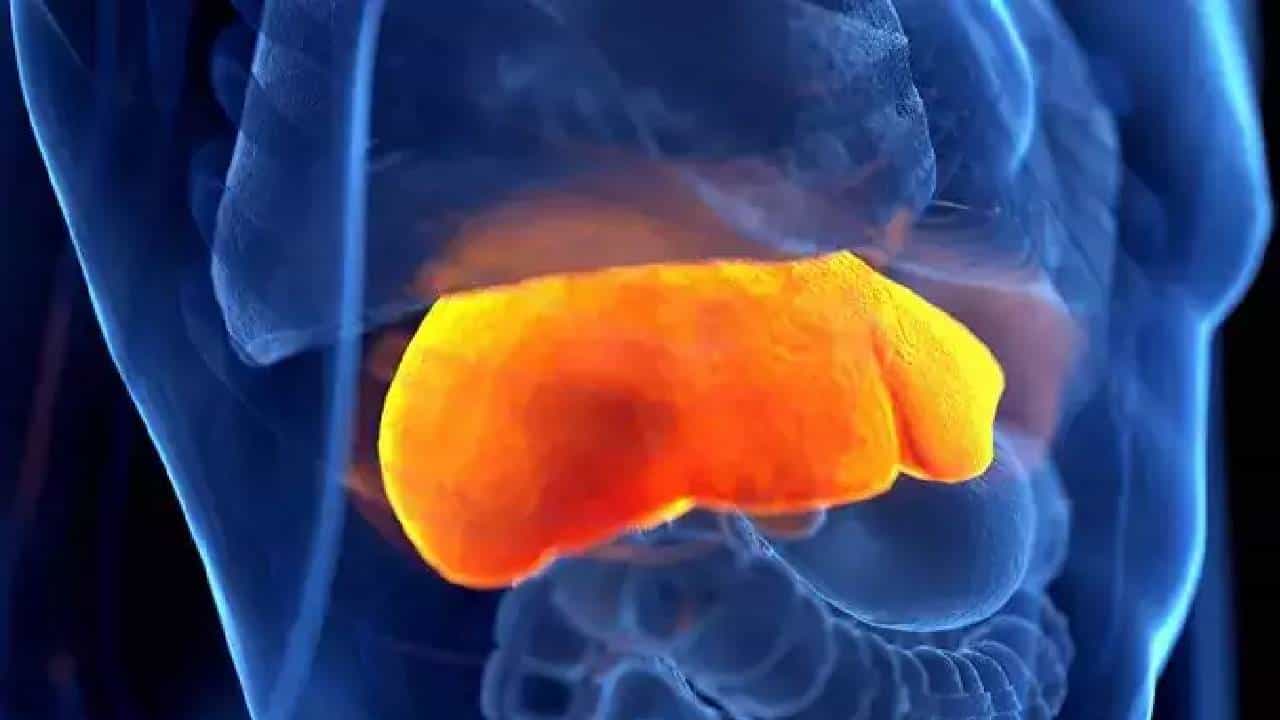 Fatty liver disease: ನಿಮ್ಮ ಚರ್ಮದ ಮೇಲೆ ಇಂತಹ ಲಕ್ಷಣ ಕಂಡುಬಂದರೆ ಎಂದಿಗೂ ನಿರ್ಲಕ್ಷ್ಯಿಸದಿರಿ Fatty liver disease: ನಿಮ್ಮ ಚರ್ಮದ ಮೇಲೆ ಇಂತಹ ಲಕ್ಷಣ ಕಂಡುಬಂದರೆ ಎಂದಿಗೂ ನಿರ್ಲಕ್ಷ್ಯಿಸದಿರಿ