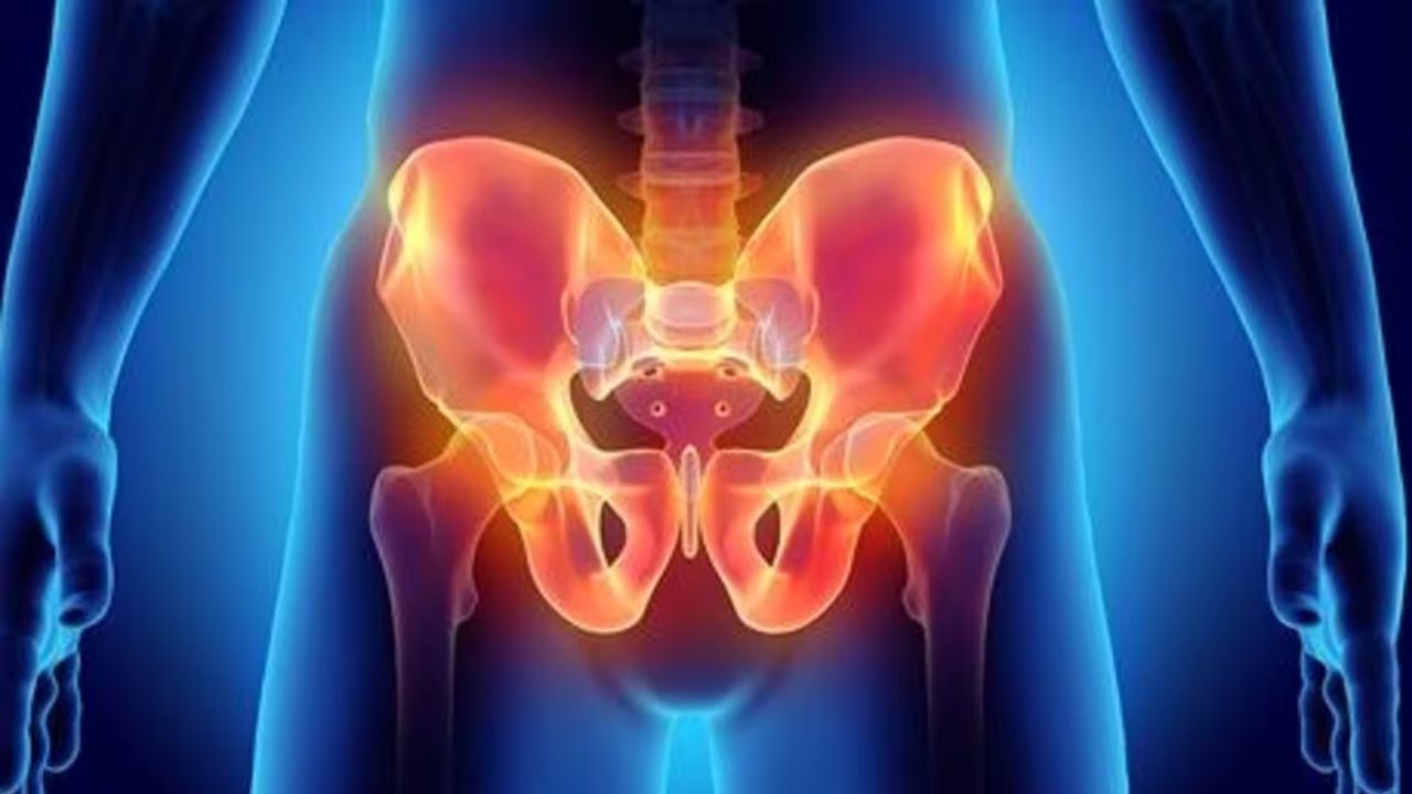 Genital Tuberculosis: ಜನನಾಂಗದ ಕ್ಷಯರೋಗ ಪುರುಷ, ಸ್ತ್ರೀ ಬಂಜೆತಕ್ಕೆ ಕಾರಣ Genital Tuberculosis: ಜನನಾಂಗದ ಕ್ಷಯರೋಗ ಪುರುಷ, ಸ್ತ್ರೀ ಬಂಜೆತಕ್ಕೆ ಕಾರಣ