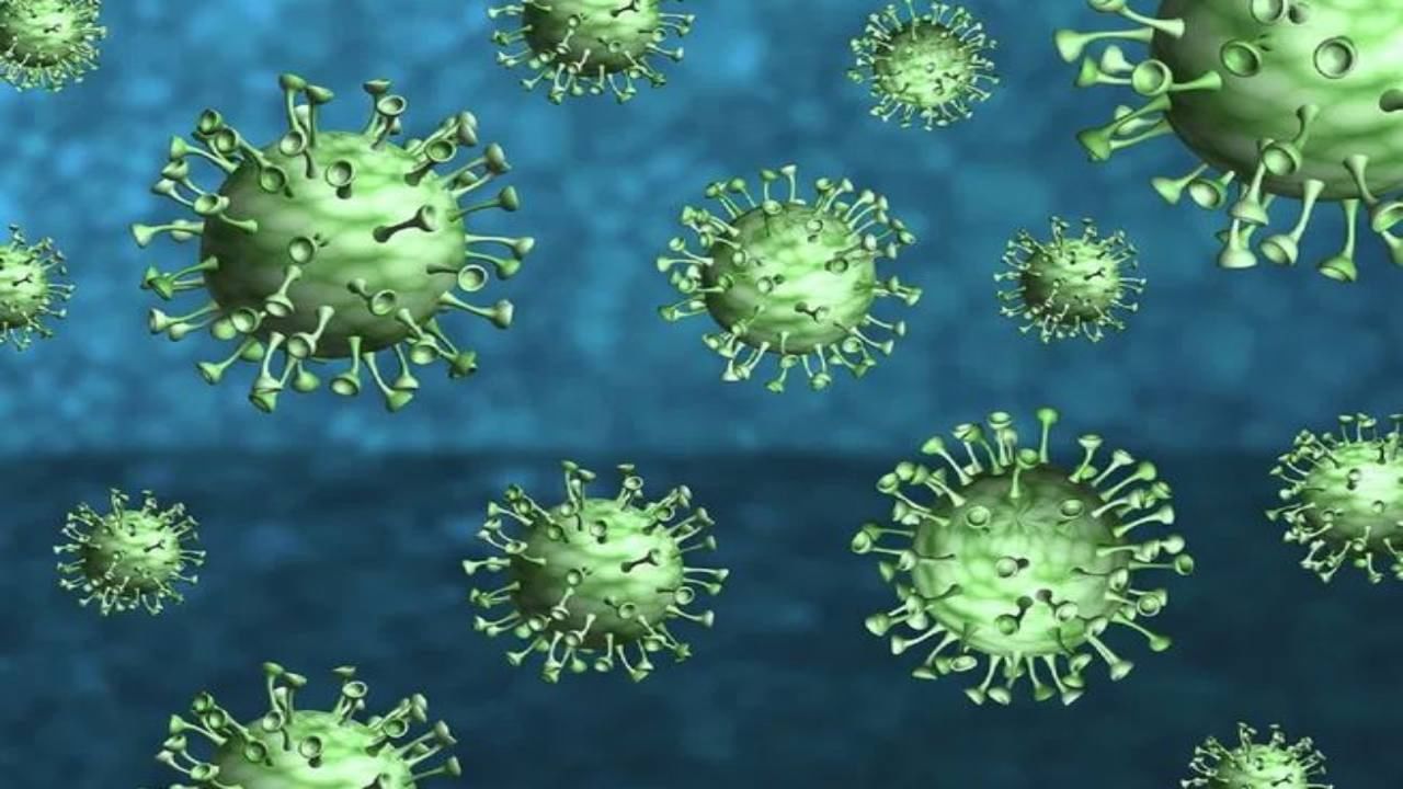 H3N2 Influenza Virus: ಎಚ್​3ಎನ್​2 ವೈರಸ್ ಸೋಂಕು, ವಿಸ್ತೃತ ಮಾರ್ಗಸೂಚಿ ಬಿಡುಗಡೆ ಮಾಡಿದ ರಾಜ್ಯ; ಇಲ್ಲಿದೆ ವಿವರ