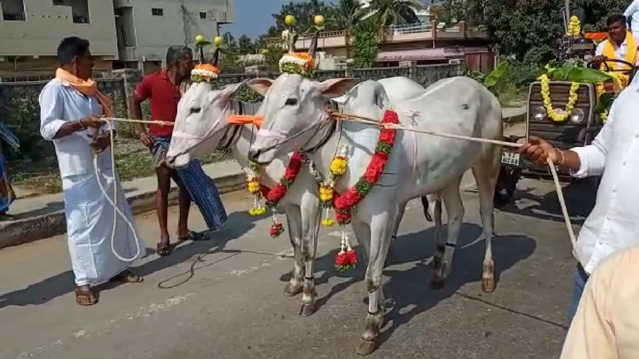 ಹಾಸನ: ಕುಮಾರಣ್ಣನಿಗೆ ಒಂದೂವರೆ ಲಕ್ಷ ಬೆಲೆಬಾಳುವ ಜೋಡೆತ್ತು ಗಿಫ್ಟ್ ಕೊಟ್ಟ ನಾಗರಹಳ್ಳಿ ಗ್ರಾಮಸ್ಥರು ಹಾಸನ: ಕುಮಾರಣ್ಣನಿಗೆ ಒಂದೂವರೆ ಲಕ್ಷ ಬೆಲೆಬಾಳುವ ಜೋಡೆತ್ತು ಗಿಫ್ಟ್ ಕೊಟ್ಟ ನಾಗರಹಳ್ಳಿ ಗ್ರಾಮಸ್ಥರು