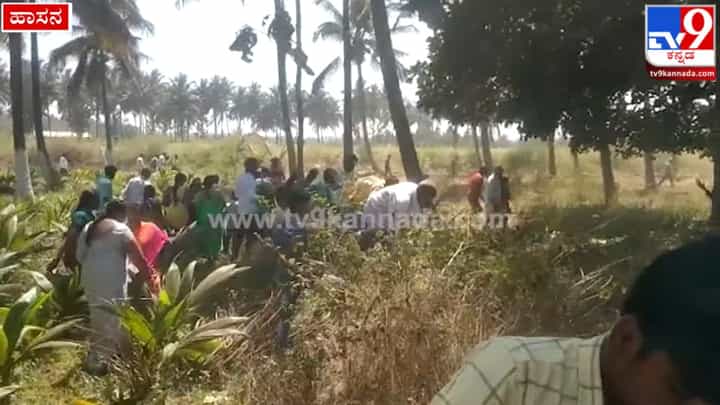 ಹಾಸನ: ಸಿದ್ದರಾಮಯ್ಯರನ್ನ ನೋಡಲು ಬೇಲಿ ಜಿಗಿದು ಬಂದ ಜನ ಹಾಸನ: ಸಿದ್ದರಾಮಯ್ಯರನ್ನ ನೋಡಲು ಬೇಲಿ ಜಿಗಿದು ಬಂದ ಜನ