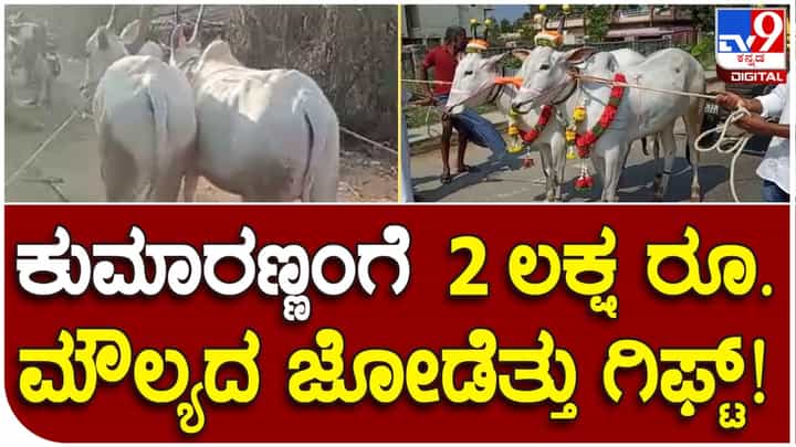 ಪಂಚರತ್ನ ಯಾತ್ರೆಯಲ್ಲಿ ಹೆಚ್.ಡಿ.ಕುಮಾರಸ್ವಾಮಿಗೆ ಜೋಡೆತ್ತು ಗಿಫ್ಟ್ ನೀಡಿದ ರೈತರು ಪಂಚರತ್ನ ಯಾತ್ರೆಯಲ್ಲಿ ಹೆಚ್.ಡಿ.ಕುಮಾರಸ್ವಾಮಿಗೆ ಜೋಡೆತ್ತು ಗಿಫ್ಟ್ ನೀಡಿದ ರೈತರು