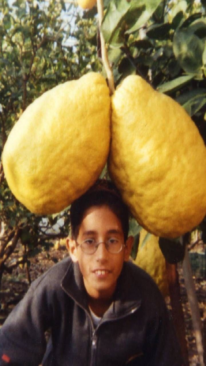 Heaviest lemon (1)
