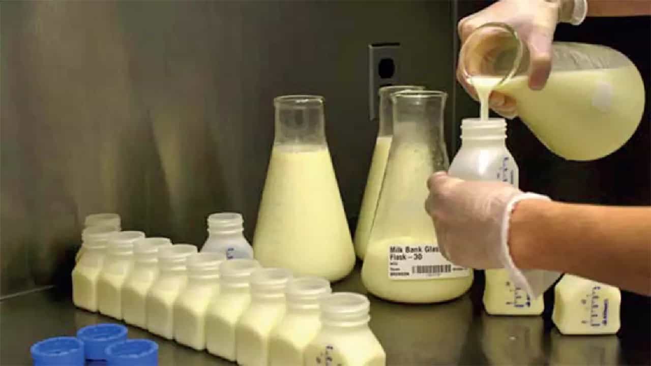 Human Milk Bank: ಹಾಸನದಲ್ಲಿ ತಾಯಿ ಹಾಲು ಸಂರಕ್ಷಣೆಗೆ ಮದರ್ ಮಿಲ್ಕ್ ಬ್ಯಾಂಕ್ ಉದ್ಘಾಟನೆ Human Milk Bank: ಹಾಸನದಲ್ಲಿ ತಾಯಿ ಹಾಲು ಸಂರಕ್ಷಣೆಗೆ ಮದರ್ ಮಿಲ್ಕ್ ಬ್ಯಾಂಕ್ ಉದ್ಘಾಟನೆ