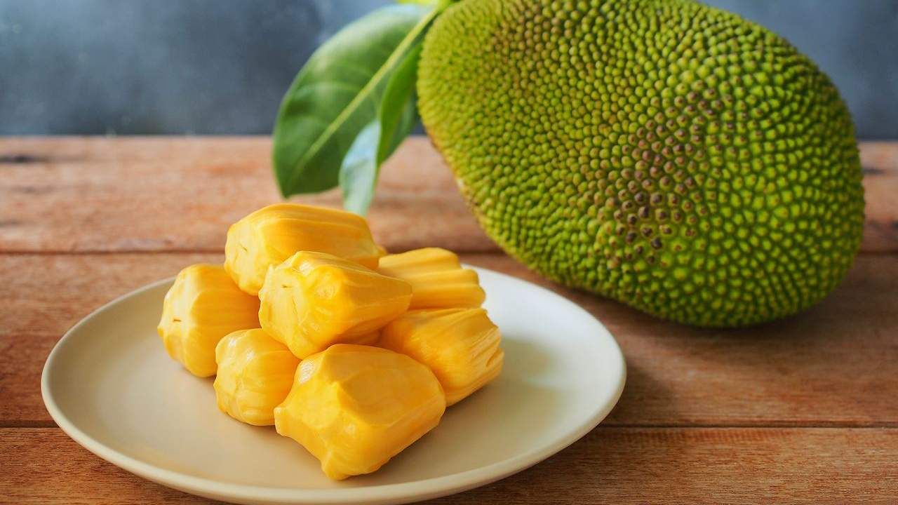 ರೋಗನಿರೋಧಕ ಶಕ್ತಿ ಹೆಚ್ಚಿದ್ದರೆ ಅನಾರೋಗ್ಯವನ್ನು ಹೆಚ್ಚು ಕಾಡುವುದಿಲ್ಲ.
ಅದಕ್ಕಾಗಿಯೇ ವೈದ್ಯರು ದಿನವು ಒಳ್ಳೆಯ ಆಹಾರ ಮತ್ತು
ಹಣ್ಣುಗಳನ್ನು ತಿನ್ನಿರಿ ಎಂದು ಪದೇ ಪದೇ ಹೇಳುತ್ತಾರೆ. ಹಲಸಿನ ಹಣ್ಣು ತಿನ್ನುವುದರಿಂದ
ರೋಗನಿರೋಧಕ ಶಕ್ತಿಯನ್ನು ಹೆಚ್ಚಿಕೊಳ್ಳಬಹುದಾಗಿದೆ.