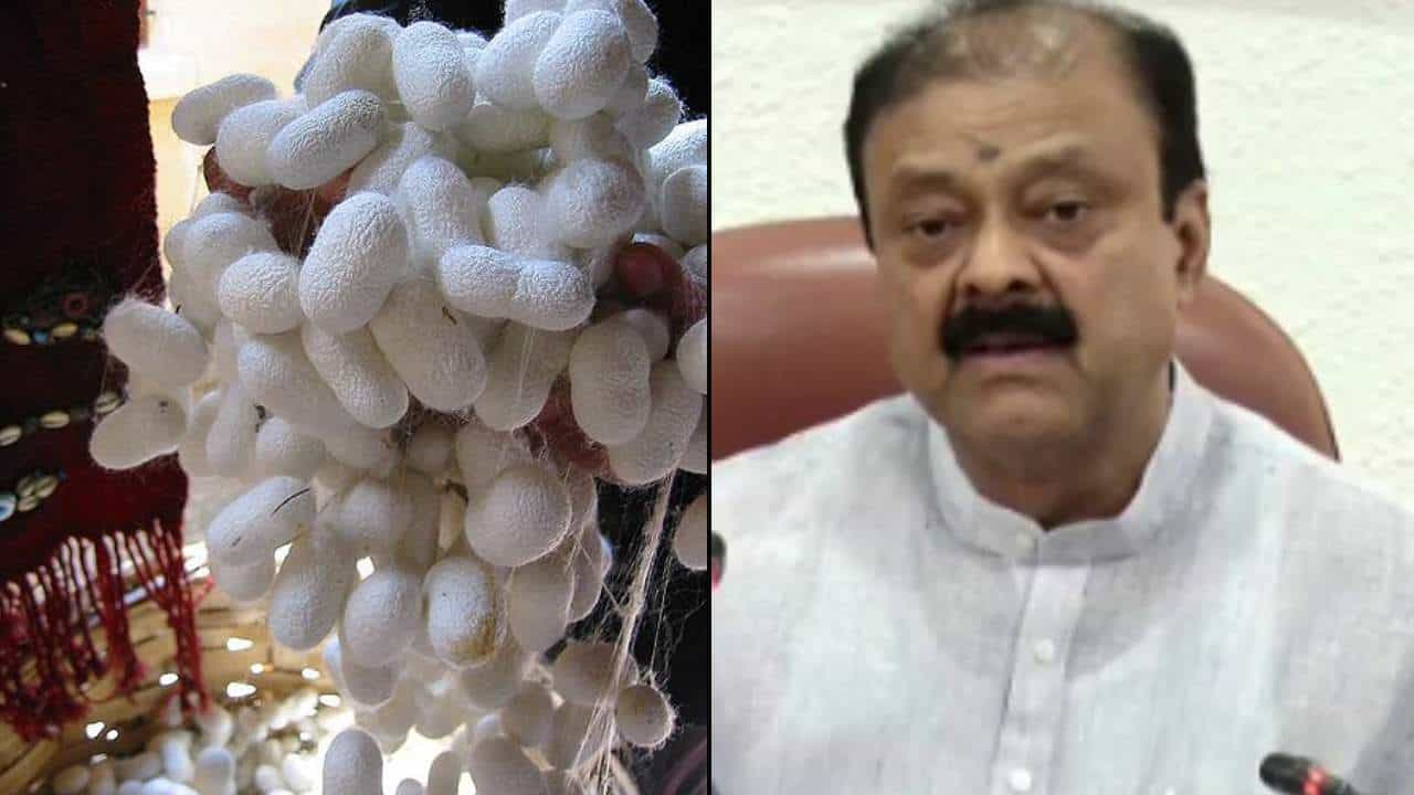 ರೇಷ್ಮೆಗೂಡು ಬೆಲೆ ಕುಸಿತ: ಆತಂಕಕ್ಕೆ ಒಳಗಾಗಬೇಡಿ, ಸರ್ಕಾರ ಮಧ್ಯ ಪ್ರವೇಶಿಸಲಿದೆ ಎಂದ ಕೆಸಿ ನಾರಾಯಣಗೌಡ ರೇಷ್ಮೆಗೂಡು ಬೆಲೆ ಕುಸಿತ: ಆತಂಕಕ್ಕೆ ಒಳಗಾಗಬೇಡಿ, ಸರ್ಕಾರ ಮಧ್ಯ ಪ್ರವೇಶಿಸಲಿದೆ ಎಂದ ಕೆಸಿ ನಾರಾಯಣಗೌಡ
