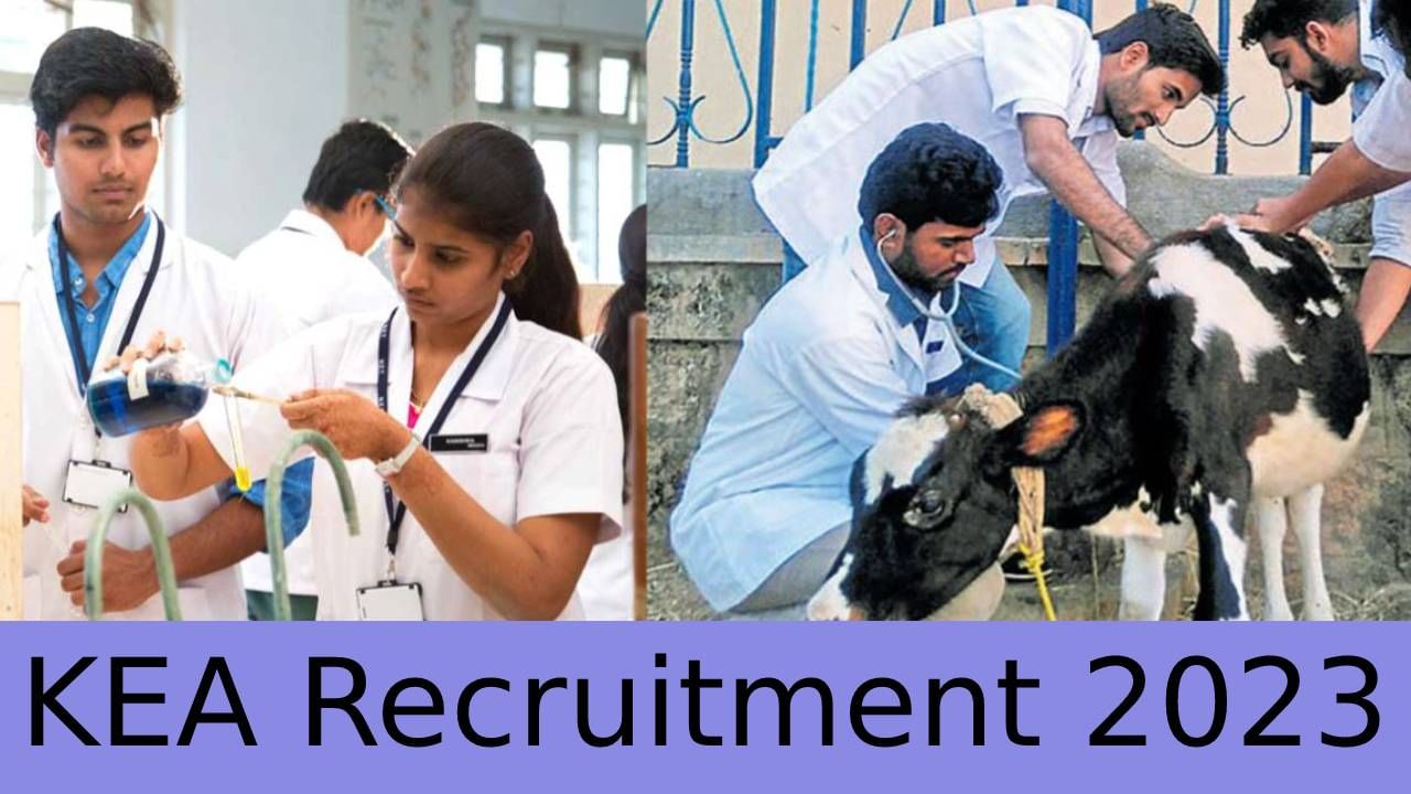KEA Recruitment 2023: 757 ಜೂನಿಯರ್ ಅಸಿಸ್ಟೆಂಟ್, SDA, ಸಹಾಯಕ ಹುದ್ದೆಗಳಿಗೆ ಅರ್ಜಿ ಆಹ್ವಾನ KEA Recruitment 2023: 757 ಜೂನಿಯರ್ ಅಸಿಸ್ಟೆಂಟ್, SDA, ಸಹಾಯಕ ಹುದ್ದೆಗಳಿಗೆ ಅರ್ಜಿ ಆಹ್ವಾನ