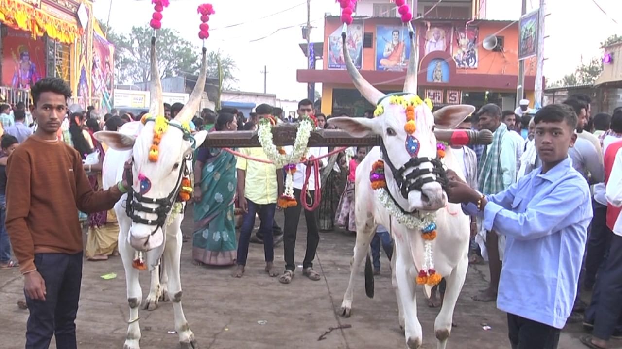 ಎಲ್ಲೆಡೆ ಹೋಳಿ ಸಂಭ್ರಮ ಮುಗಿಲು ಮುಟ್ಟಿದ್ದರೆ ಈ ಗ್ರಾಮದಲ್ಲಿ ಮಾತ್ರ ಆಯುಧಗಳ ಸಂಗಮ. ಹೌದು, ಹೋಳಿ ದಿನ ಈ ಗ್ರಾಮದಲ್ಲೊಂದು ವಿಶಿಷ್ಟ ಸಂಪ್ರದಾಯ