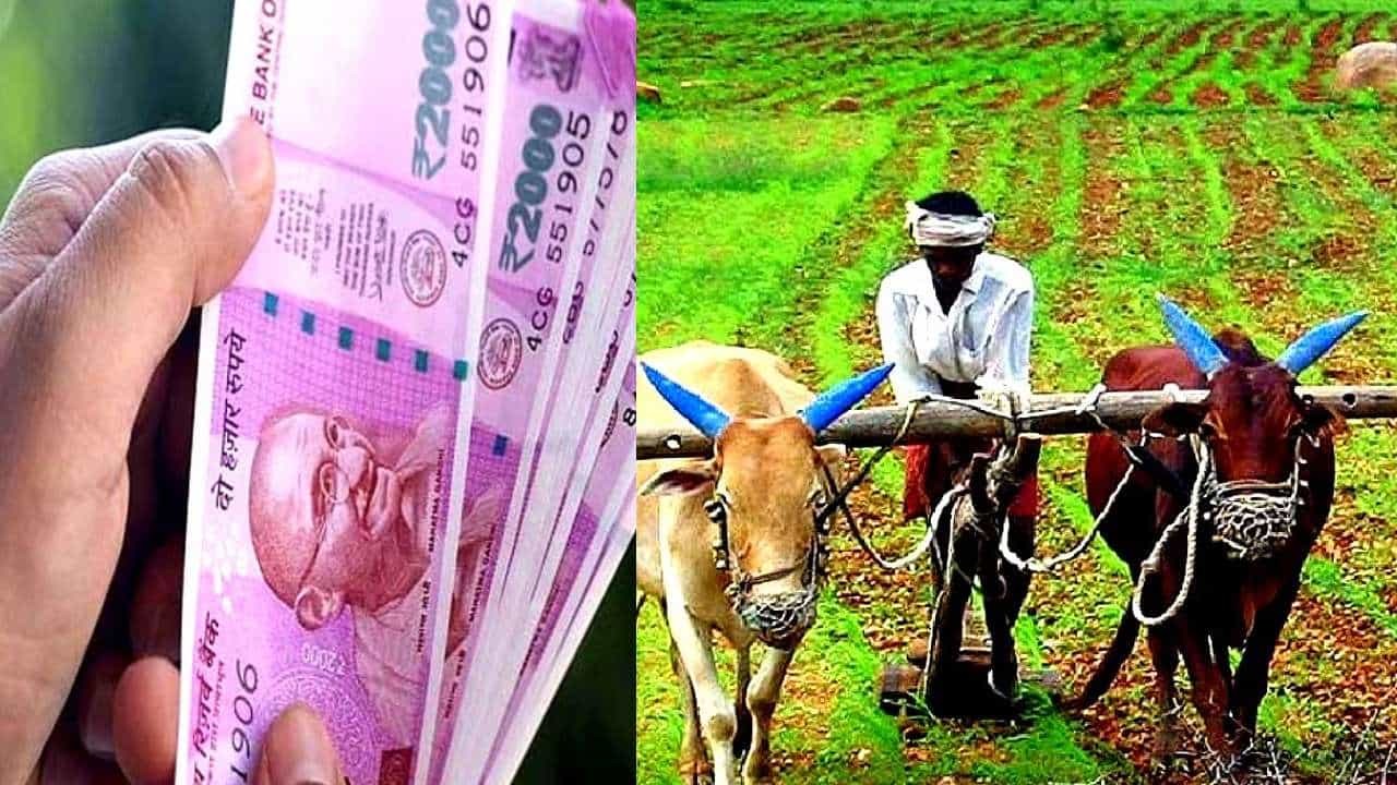 Kisan Samman Yojana: ಕಿಸಾನ್ ಸಮ್ಮಾನ್ ಯೋಜನೆಯ 6ನೇ ಕಂತಿನ ಹಣ ಬಿಡುಗಡೆ ಮಾಡಿದ ಸಿಎಂ ಬೊಮ್ಮಾಯಿ Kisan Samman Yojana: ಕಿಸಾನ್ ಸಮ್ಮಾನ್ ಯೋಜನೆಯ 6ನೇ ಕಂತಿನ ಹಣ ಬಿಡುಗಡೆ ಮಾಡಿದ ಸಿಎಂ ಬೊಮ್ಮಾಯಿ