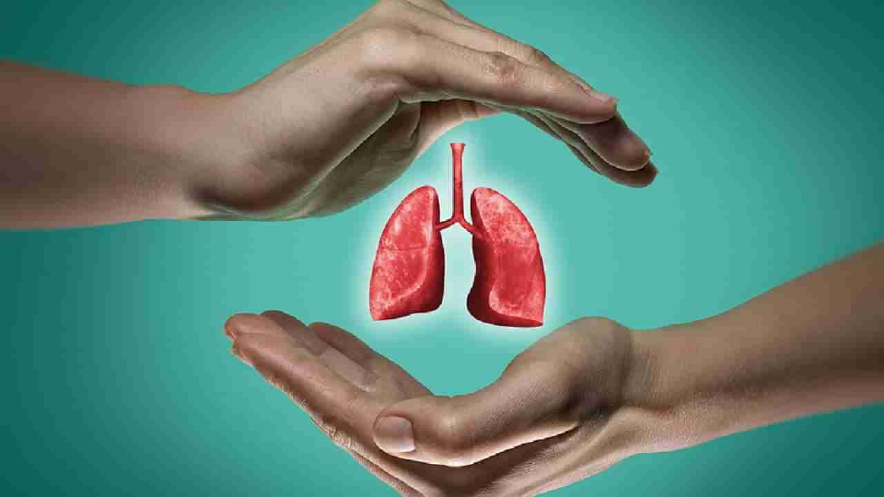 Lung Health: ನಿಮ್ಮ ಶ್ವಾಸಕೋಶದ ಆರೋಗ್ಯವನ್ನು ಹೆಚ್ಚಿಸಲು ಈ 5 ಆಹಾರ ಸೇವಿಸಿ