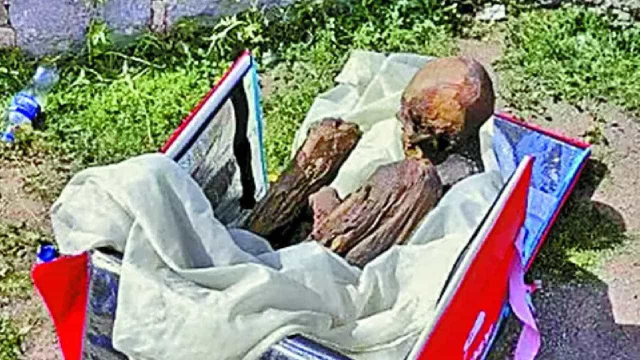 Mummy In Bag: ಈಕೆ ನನ್ನ ಗರ್ಲ್ ಫ್ರೆಂಡ್! ಪೆರುವಿನ ಫುಡ್ ಡೆಲಿವರಿ ಬಾಯ್ ಬ್ಯಾಗ್ನಲ್ಲಿತ್ತು 800 ವರ್ಷ ಹಳೆಯ ಮಮ್ಮಿ Mummy In Bag: ಈಕೆ ನನ್ನ ಗರ್ಲ್ ಫ್ರೆಂಡ್! ಪೆರುವಿನ ಫುಡ್ ಡೆಲಿವರಿ ಬಾಯ್ ಬ್ಯಾಗ್ನಲ್ಲಿತ್ತು 800 ವರ್ಷ ಹಳೆಯ ಮಮ್ಮಿ