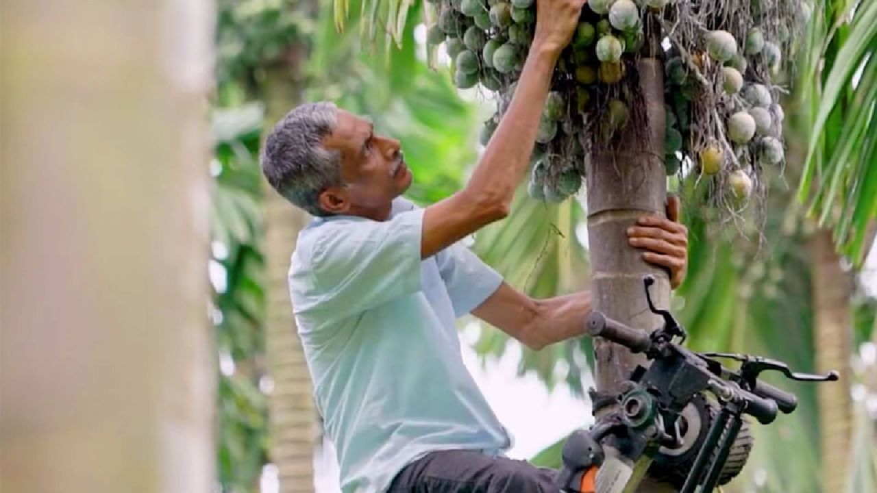 Tree Scooter: ಕೆಲವೇ ಸೆಕೆಂಡುಗಳಲ್ಲಿ ಅಡಿಕೆ ಮರ ಏರಲು ಬಂದಿದೆ ವಿನೂತನ 'ಟ್ರೀ ಸ್ಕೂಟರ್'! Tree Scooter: ಕೆಲವೇ ಸೆಕೆಂಡುಗಳಲ್ಲಿ ಅಡಿಕೆ ಮರ ಏರಲು ಬಂದಿದೆ ವಿನೂತನ 'ಟ್ರೀ ಸ್ಕೂಟರ್'!