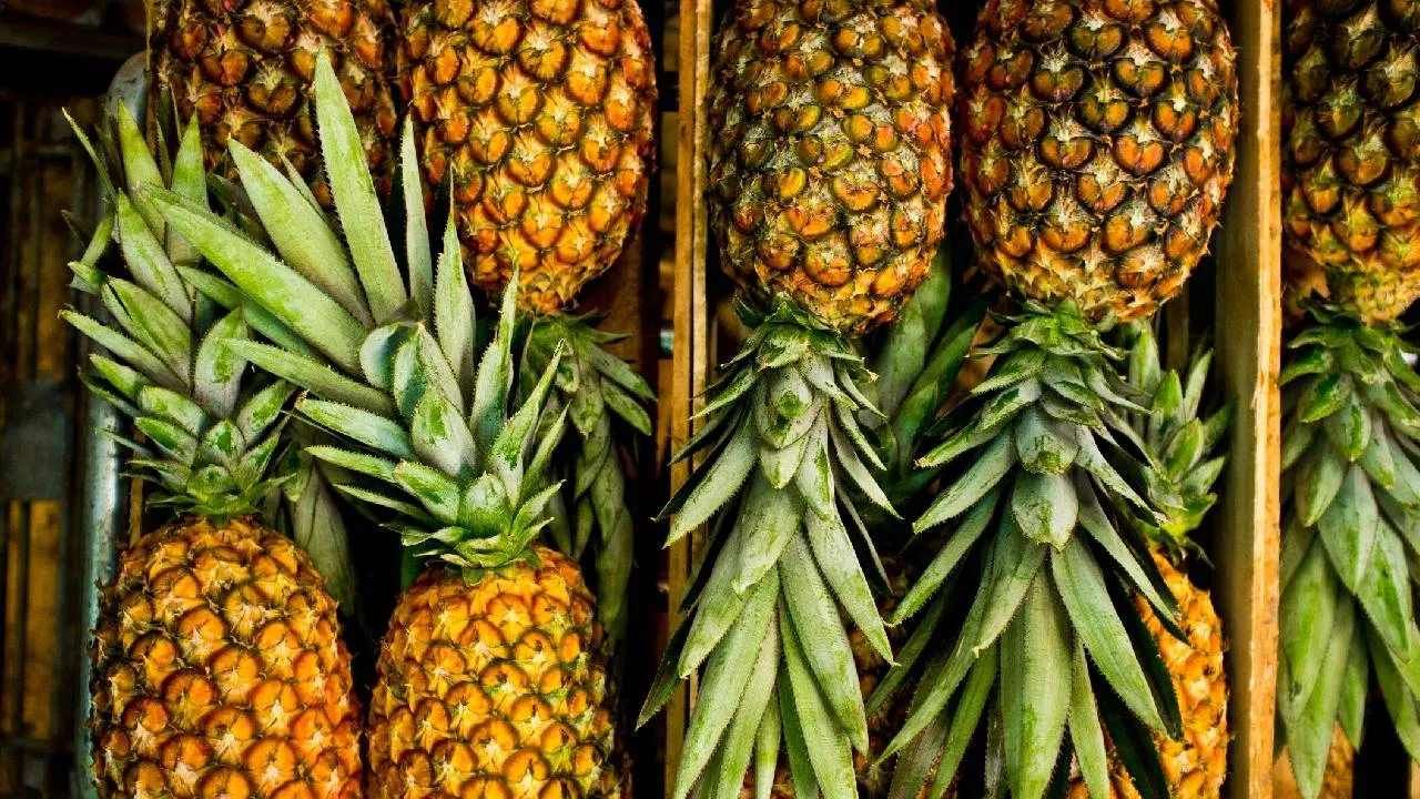 Pineapple Side Effects: ಅನಾನಸ್ ಇಷ್ಟ ಎಂದು ತುಂಬಾ ತಿನ್ಬೇಡಿ, ಈ 4 ಕೆಟ್ಟ ಪರಿಣಾಮಗಳು ನಿಮ್ಮ ಮೇಲಾಗಬಹುದು ಎಚ್ಚರ Pineapple Side Effects: ಅನಾನಸ್ ಇಷ್ಟ ಎಂದು ತುಂಬಾ ತಿನ್ಬೇಡಿ, ಈ 4 ಕೆಟ್ಟ ಪರಿಣಾಮಗಳು ನಿಮ್ಮ ಮೇಲಾಗಬಹುದು ಎಚ್ಚರ