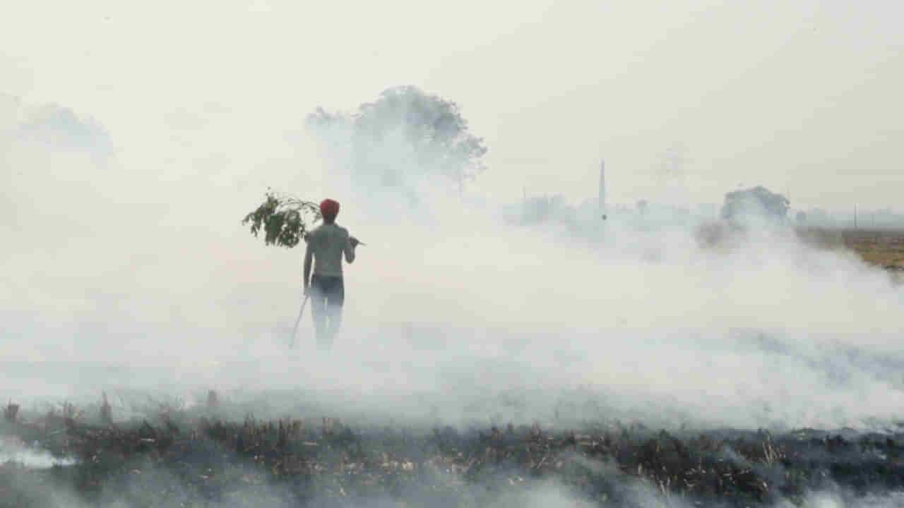 Most Polluted City: ವಿಶ್ವದ 50 ಅತ್ಯಂತ ಕಲುಷಿತ ನಗರಗಳಲ್ಲಿ 39 ನಗರಗಳು ಭಾರತದಲ್ಲಿವೆ: ವರದಿ