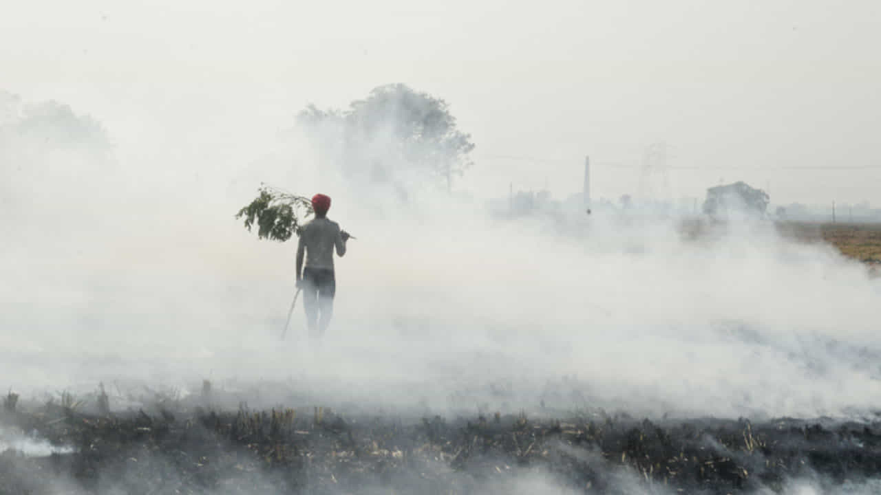 Most Polluted City: ವಿಶ್ವದ 50 ಅತ್ಯಂತ ಕಲುಷಿತ ನಗರಗಳಲ್ಲಿ 39 ನಗರಗಳು ಭಾರತದಲ್ಲಿವೆ: ವರದಿ Most Polluted City: ವಿಶ್ವದ 50 ಅತ್ಯಂತ ಕಲುಷಿತ ನಗರಗಳಲ್ಲಿ 39 ನಗರಗಳು ಭಾರತದಲ್ಲಿವೆ: ವರದಿ