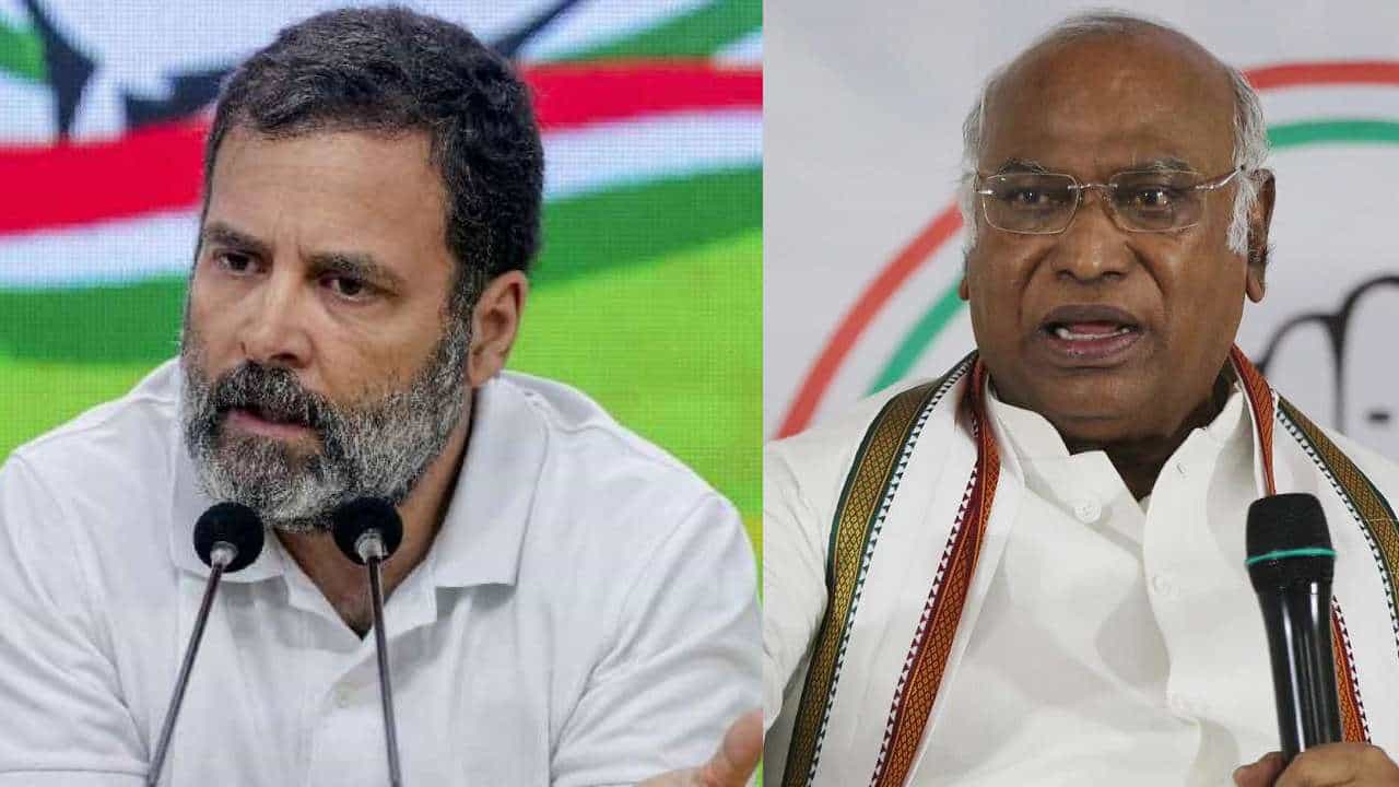 Rahul Gandhi: ರಾಹುಲ್ ಗಾಂಧಿ ಲೋಕಸಭಾ ಸದಸ್ಯತ್ವ ಅನರ್ಹ; ಬಿಜೆಪಿ ಸರ್ಕಾರದ ವಿರುದ್ಧ ಮುಗಿಬೀಳುತ್ತಿರುವ ಕಾಂಗ್ರೆಸ್ Rahul Gandhi: ರಾಹುಲ್ ಗಾಂಧಿ ಲೋಕಸಭಾ ಸದಸ್ಯತ್ವ ಅನರ್ಹ; ಬಿಜೆಪಿ ಸರ್ಕಾರದ ವಿರುದ್ಧ ಮುಗಿಬೀಳುತ್ತಿರುವ ಕಾಂಗ್ರೆಸ್