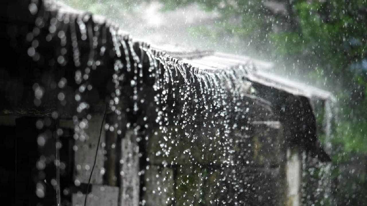 Karnataka Weather Updates: ಬೆಂಗಳೂರು ಸೇರಿದಂತೆ ಕರ್ನಾಟಕದ ವಿವಿಧೆಡೆ ಮಾರ್ಚ್ 17 ರಿಂದ 2 ದಿನ ಮಳೆ Karnataka Weather Updates: ಬೆಂಗಳೂರು ಸೇರಿದಂತೆ ಕರ್ನಾಟಕದ ವಿವಿಧೆಡೆ ಮಾರ್ಚ್ 17 ರಿಂದ 2 ದಿನ ಮಳೆ
