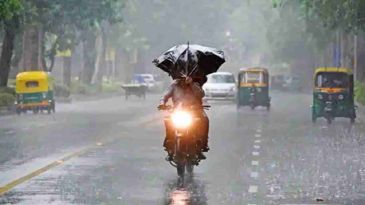 Bengaluru Rains: ಬೆಂಗಳೂರಿನಲ್ಲಿ ಬಿಸಿಲ ಝಳದ ಮಧ್ಯೆ ಮಳೆಯ ಸಿಂಚನ, ಮುಂದಿನ 48 ಗಂಟೆಗಳ ಕಾಲ ಗುಡುಗು ಸಹಿತ ಮಳೆ ಮುಂದುವರೆಯುವ ಸಾಧ್ಯತೆ