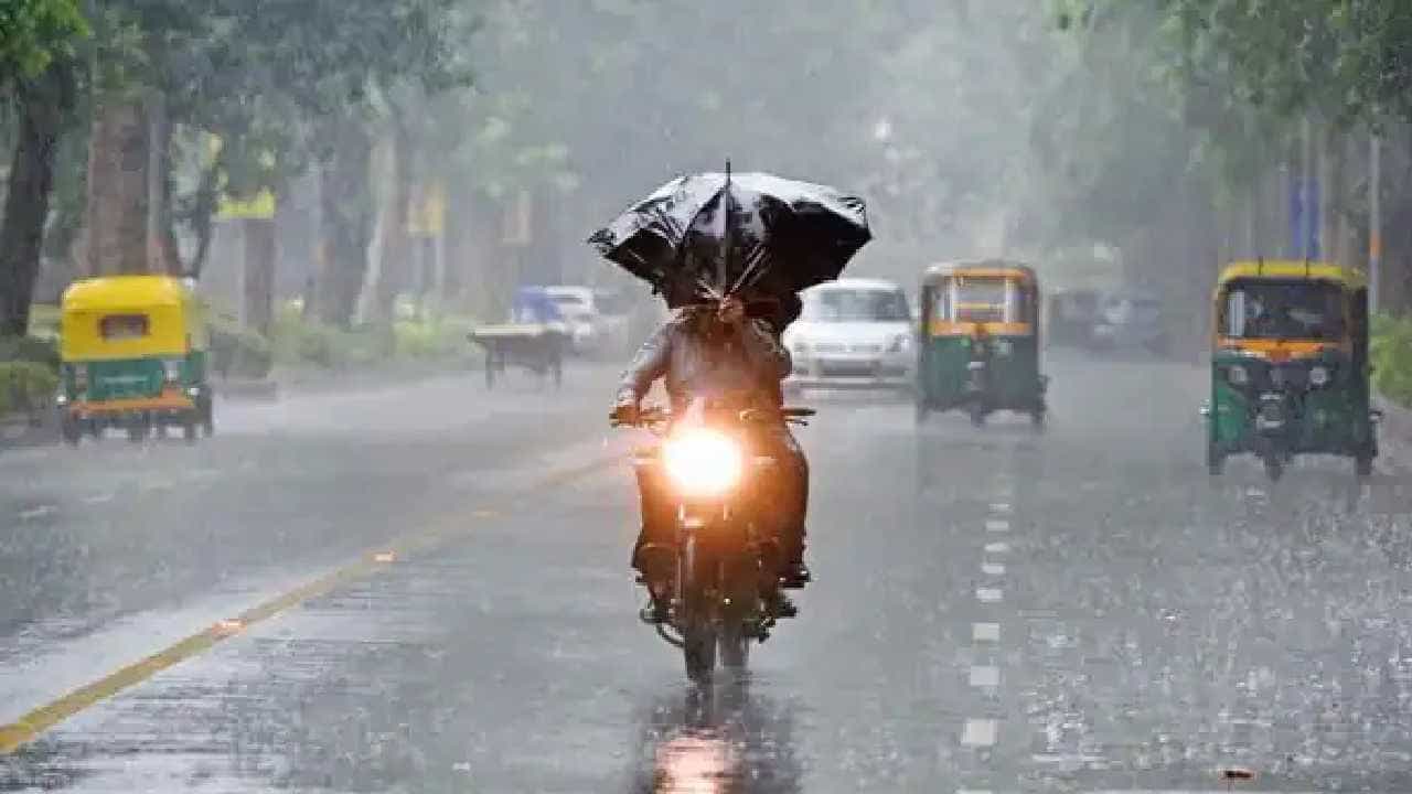 Bengaluru Rains: ಬೆಂಗಳೂರಿನಲ್ಲಿ ಬಿಸಿಲ ಝಳದ ಮಧ್ಯೆ ಮಳೆಯ ಸಿಂಚನ, ಮುಂದಿನ 48 ಗಂಟೆಗಳ ಕಾಲ ಗುಡುಗು ಸಹಿತ ಮಳೆ ಮುಂದುವರೆಯುವ ಸಾಧ್ಯತೆ Bengaluru Rains: ಬೆಂಗಳೂರಿನಲ್ಲಿ ಬಿಸಿಲ ಝಳದ ಮಧ್ಯೆ ಮಳೆಯ ಸಿಂಚನ, ಮುಂದಿನ 48 ಗಂಟೆಗಳ ಕಾಲ ಗುಡುಗು ಸಹಿತ ಮಳೆ ಮುಂದುವರೆಯುವ ಸಾಧ್ಯತೆ