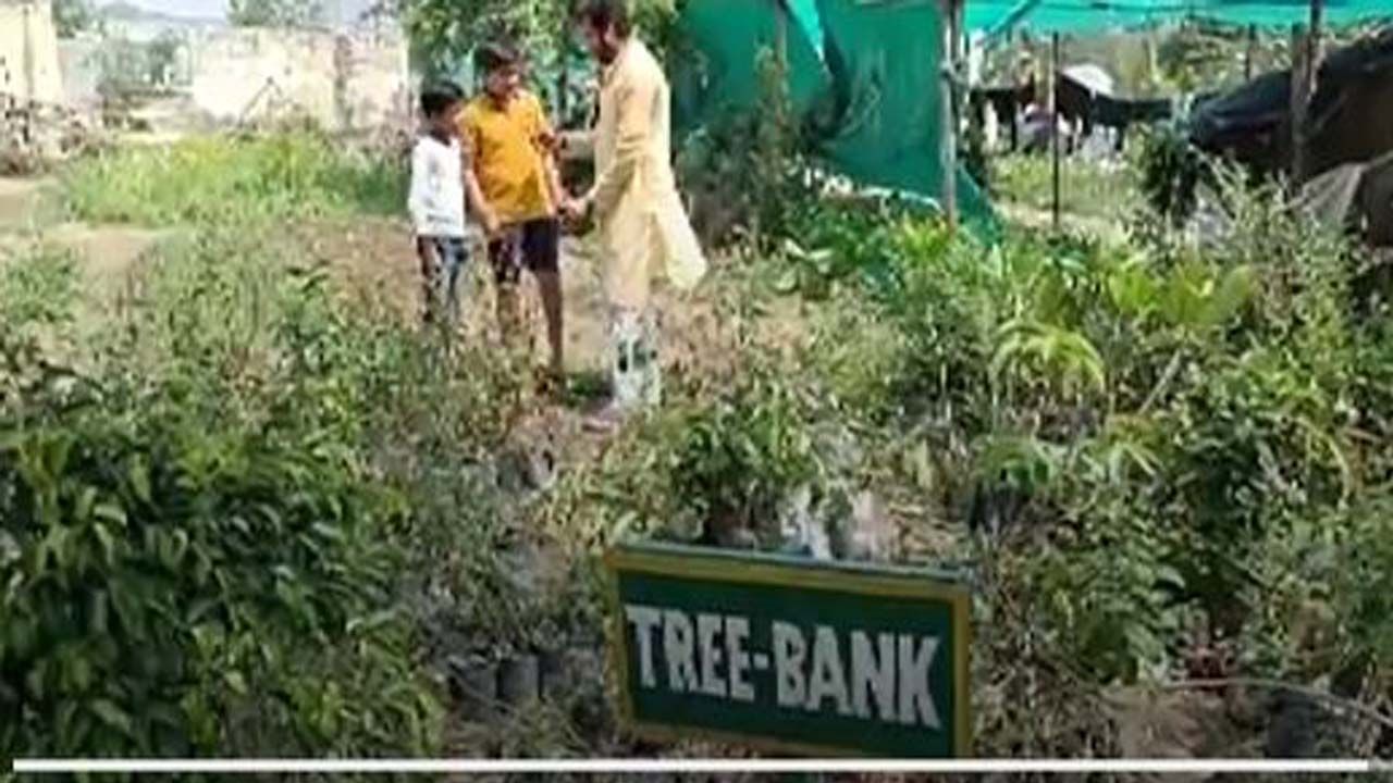 Tree Bank: ಪರಿಸರವನ್ನು ಅಗಾಧವಾಗಿ ಪ್ರೀತಿಸುವ ಇಬ್ಬರು ಸಮಾನಮನಸ್ಕ ಸ್ನೇಹಿತರು ದೆಹಲಿ ಹೊರವಲಯದಲ್ಲಿ ಸಸಿಗಳ ಬ್ಯಾಂಕ್ ಆರಂಭಿಸಿದ್ದಾರೆ!