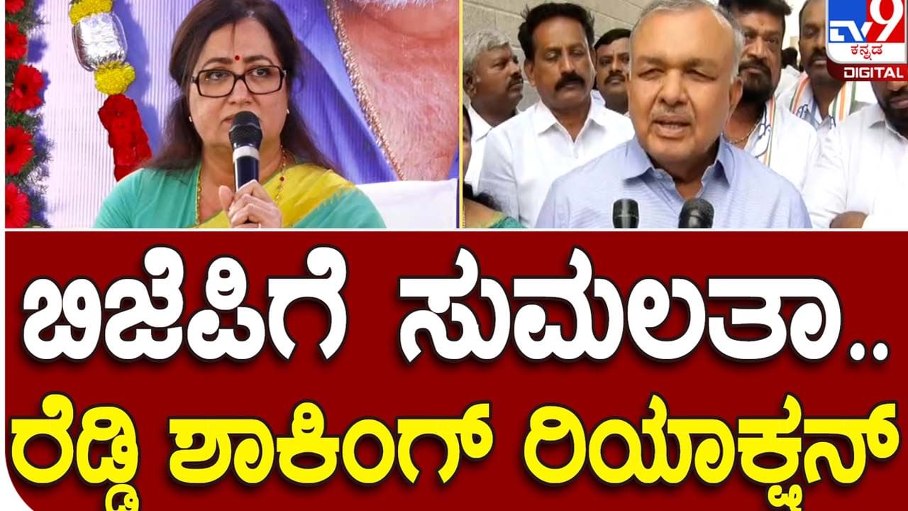 ಮಂಡ್ಯ ಮತ್ತು ಹಳೆ ಮೈಸೂರು ಭಾಗದಲ್ಲಿ ಕಾಂಗ್ರೆಸ್ ಮತ್ತು ಜೆಡಿಎಸ್ ನಡುವೆ ಮಾತ್ರ ಸ್ಪರ್ಧೆ ಇರೋದು, ಬಿಜೆಪಿ ಲೆಕ್ಕಕ್ಕಿಲ್ಲ: ರಾಮಲಿಂಗಾ ರೆಡ್ಡಿ