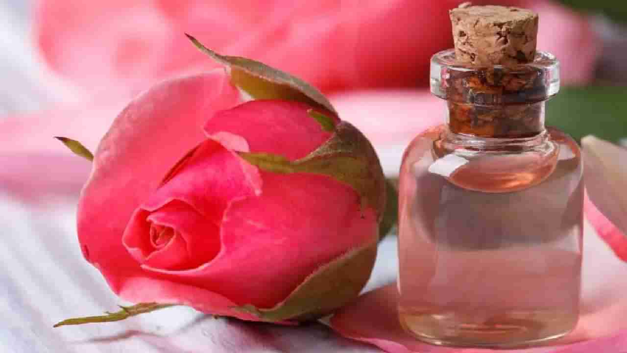 Rose Water for Skin: ಬೇಸಿಗೆಯಲ್ಲಿ ಚರ್ಮದ ಆರೈಕೆಗಾಗಿ ರೋಸ್ ವಾಟರ್ ಬಳಸಿ