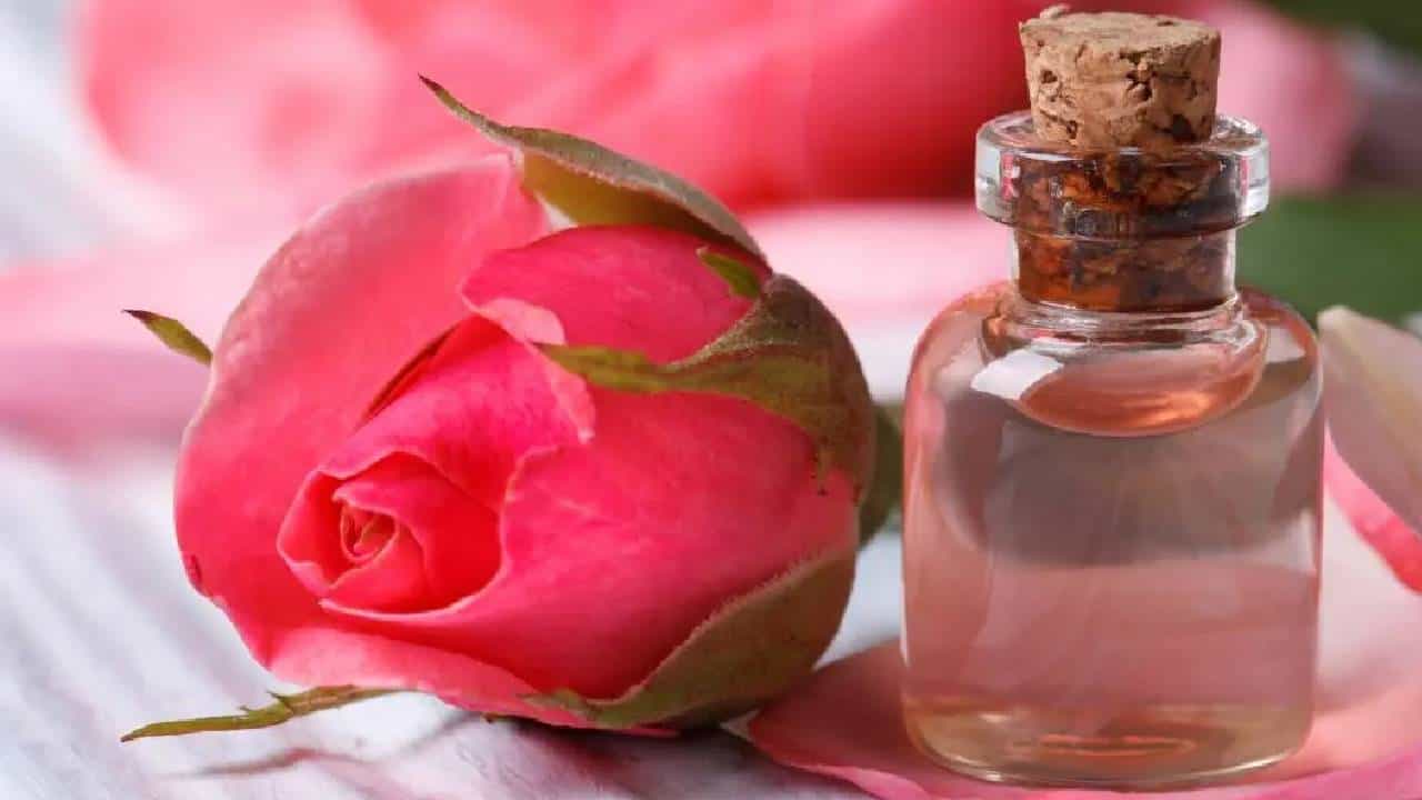 Rose Water for Skin: ಬೇಸಿಗೆಯಲ್ಲಿ ಚರ್ಮದ ಆರೈಕೆಗಾಗಿ ರೋಸ್ ವಾಟರ್ ಬಳಸಿ Rose Water for Skin: ಬೇಸಿಗೆಯಲ್ಲಿ ಚರ್ಮದ ಆರೈಕೆಗಾಗಿ ರೋಸ್ ವಾಟರ್ ಬಳಸಿ