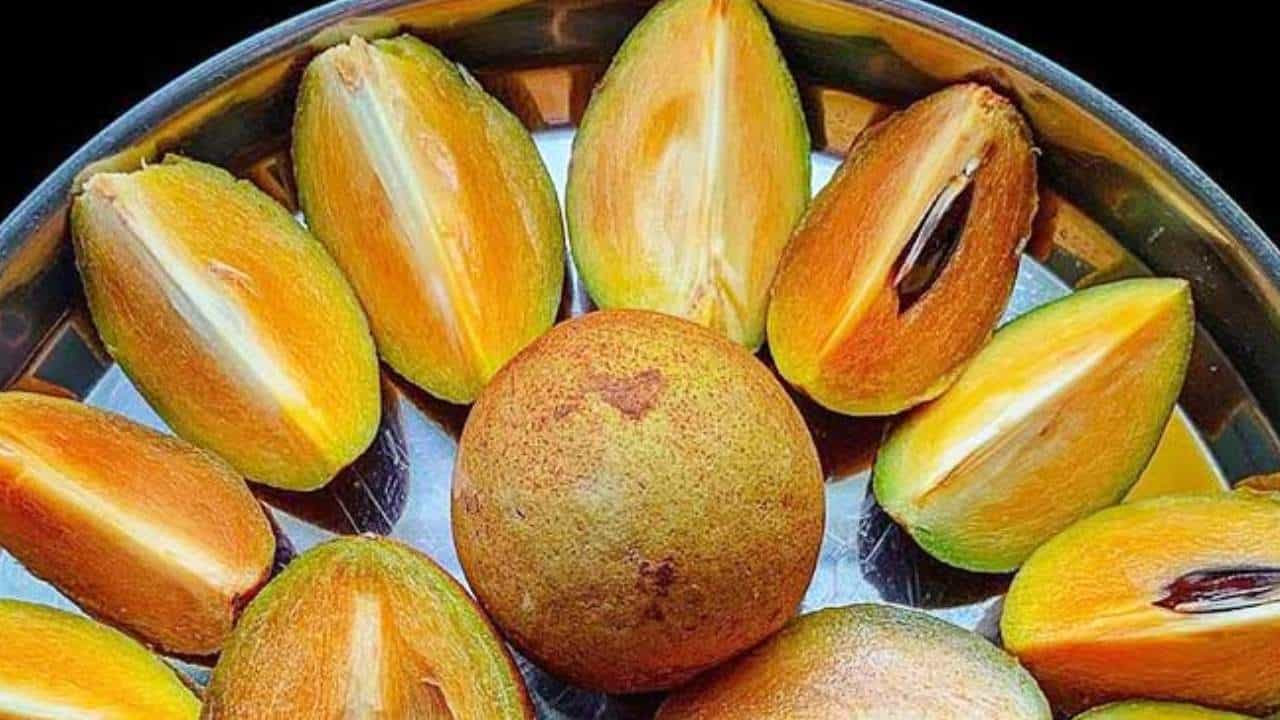 Sapota Fruits Benefits: ಬೇಸಿಗೆಯಲ್ಲಿ ಚಿಕ್ಕು ಹಣ್ಣು ಸೇವನೆ ದೇಹಕ್ಕೆ ತುಂಬಾ ಒಳ್ಳೆಯದು Sapota Fruits Benefits: ಬೇಸಿಗೆಯಲ್ಲಿ ಚಿಕ್ಕು ಹಣ್ಣು ಸೇವನೆ ದೇಹಕ್ಕೆ ತುಂಬಾ ಒಳ್ಳೆಯದು