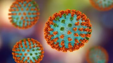 H3N2 Virus: ಕೊರೊನಾ ಬಳಿಕ ಮತ್ತೊಂದು ವೈರಸ್​, ಕರ್ನಾಟಕದಲ್ಲಿ ಹೆಚ್​​3ಎನ್​​2ಗೆ​​ ಮೊದಲ ಬಲಿ