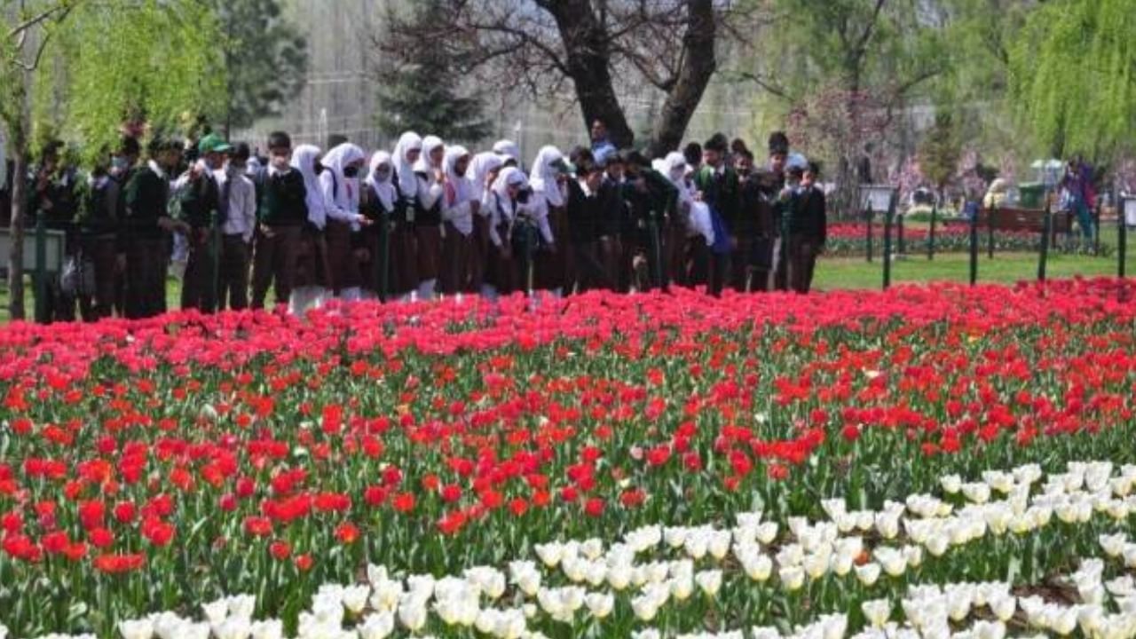 Asia’s largest Tulip garden Flower Show in Srinagar