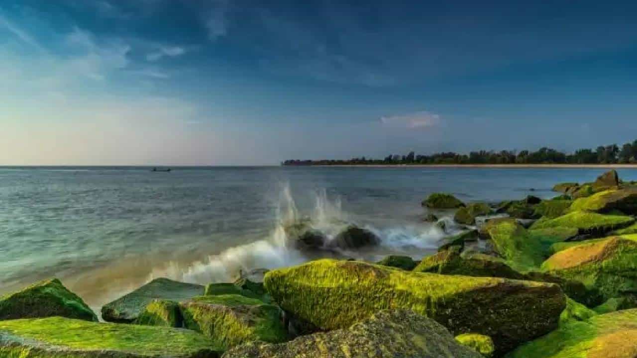 ಉಡುಪಿಯಲ್ಲಿ ನೀವು ಭೇಟಿ ನೀಡಬೇಕಾದ ಸುಂದರ ತಾಣಗಳ ಕುರಿತು ಮಾಹಿತಿ ಇಲ್ಲಿದೆ ಉಡುಪಿಯಲ್ಲಿ ನೀವು ಭೇಟಿ ನೀಡಬೇಕಾದ ಸುಂದರ ತಾಣಗಳ ಕುರಿತು ಮಾಹಿತಿ ಇಲ್ಲಿದೆ