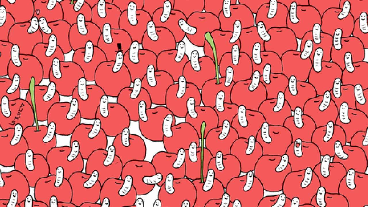 Viral Brain Teaser: ಹುಳ ಇಲ್ಲದೇ ಇರುವ ಚೆರ್ರಿ ಹಣ್ಣನ್ನು ಹುಡುಕಬಲ್ಲಿರಾ? Viral Brain Teaser: ಹುಳ ಇಲ್ಲದೇ ಇರುವ ಚೆರ್ರಿ ಹಣ್ಣನ್ನು ಹುಡುಕಬಲ್ಲಿರಾ?