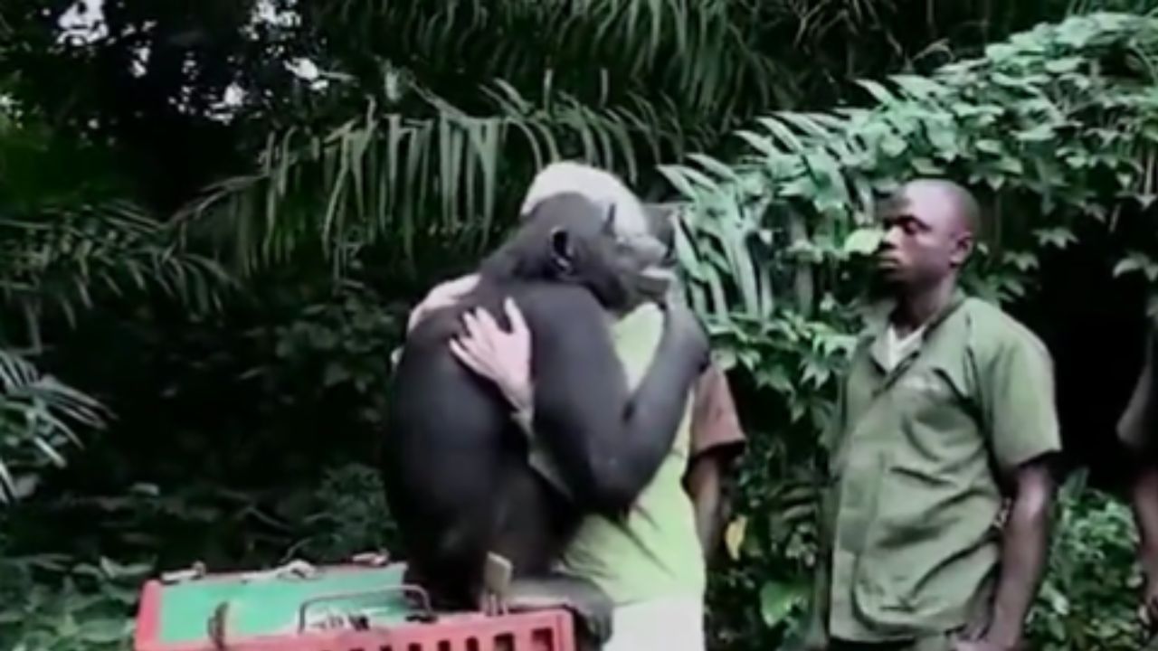 Viral Video: ಪ್ರಾಣಿ, ಪಕ್ಷಿಗಳಿಗೂ ಸ್ವಾತಂತ್ರ್ಯವಾಗಿ ಬದುಕುವ ಹಕ್ಕಿದೆ ಅಲ್ವಾ, ಇಲ್ಲಿದೆ ಹೃದಯಸ್ಪರ್ಶಿ ವಿಡಿಯೊ Viral Video: ಪ್ರಾಣಿ, ಪಕ್ಷಿಗಳಿಗೂ ಸ್ವಾತಂತ್ರ್ಯವಾಗಿ ಬದುಕುವ ಹಕ್ಕಿದೆ ಅಲ್ವಾ, ಇಲ್ಲಿದೆ ಹೃದಯಸ್ಪರ್ಶಿ ವಿಡಿಯೊ