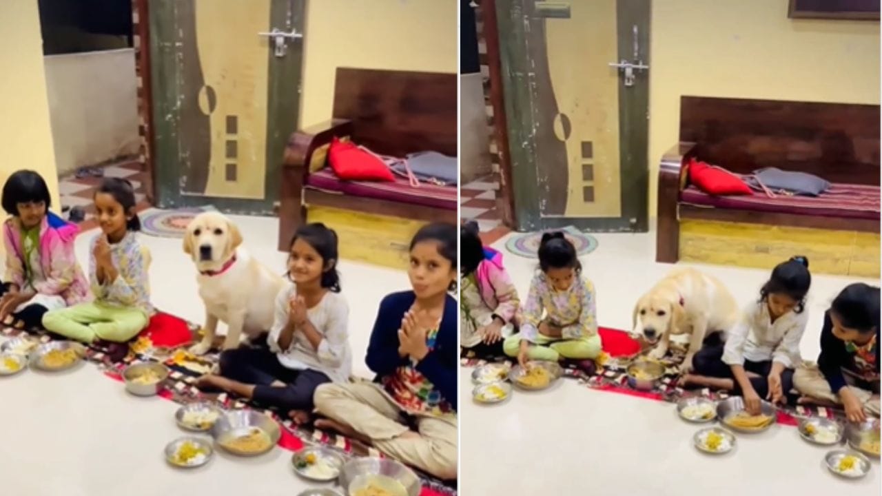 Viral Video: ಈ ಶ್ವಾನದಿಂದ ಕಲಿಯಬೇಕು ಸಂಸ್ಕಾರ, ಮಕ್ಕಳ ಜೊತೆಗೆ ನಾಯಿ ಮಾಡಿದ್ದೇನು