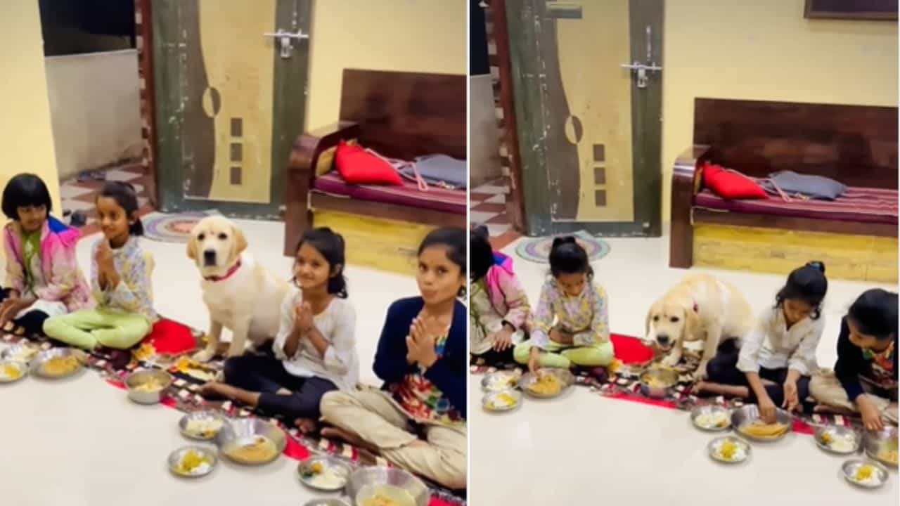 Viral Video: ಈ ಶ್ವಾನದಿಂದ ಕಲಿಯಬೇಕು ಸಂಸ್ಕಾರ, ಮಕ್ಕಳ ಜೊತೆಗೆ ನಾಯಿ ಮಾಡಿದ್ದೇನು ನೋಡಿ Viral Video: ಈ ಶ್ವಾನದಿಂದ ಕಲಿಯಬೇಕು ಸಂಸ್ಕಾರ, ಮಕ್ಕಳ ಜೊತೆಗೆ ನಾಯಿ ಮಾಡಿದ್ದೇನು ನೋಡಿ