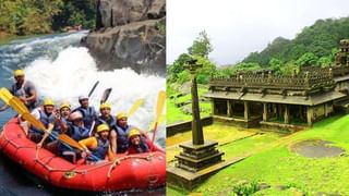 Vitamin E capsules: ಆರೋಗ್ಯಕರ ಚರ್ಮ ಮತ್ತು ಕೂದಲಿಗೆ ವಿಟಮಿನ್ ಇ ಕ್ಯಾಪ್ಸುಲ್‌