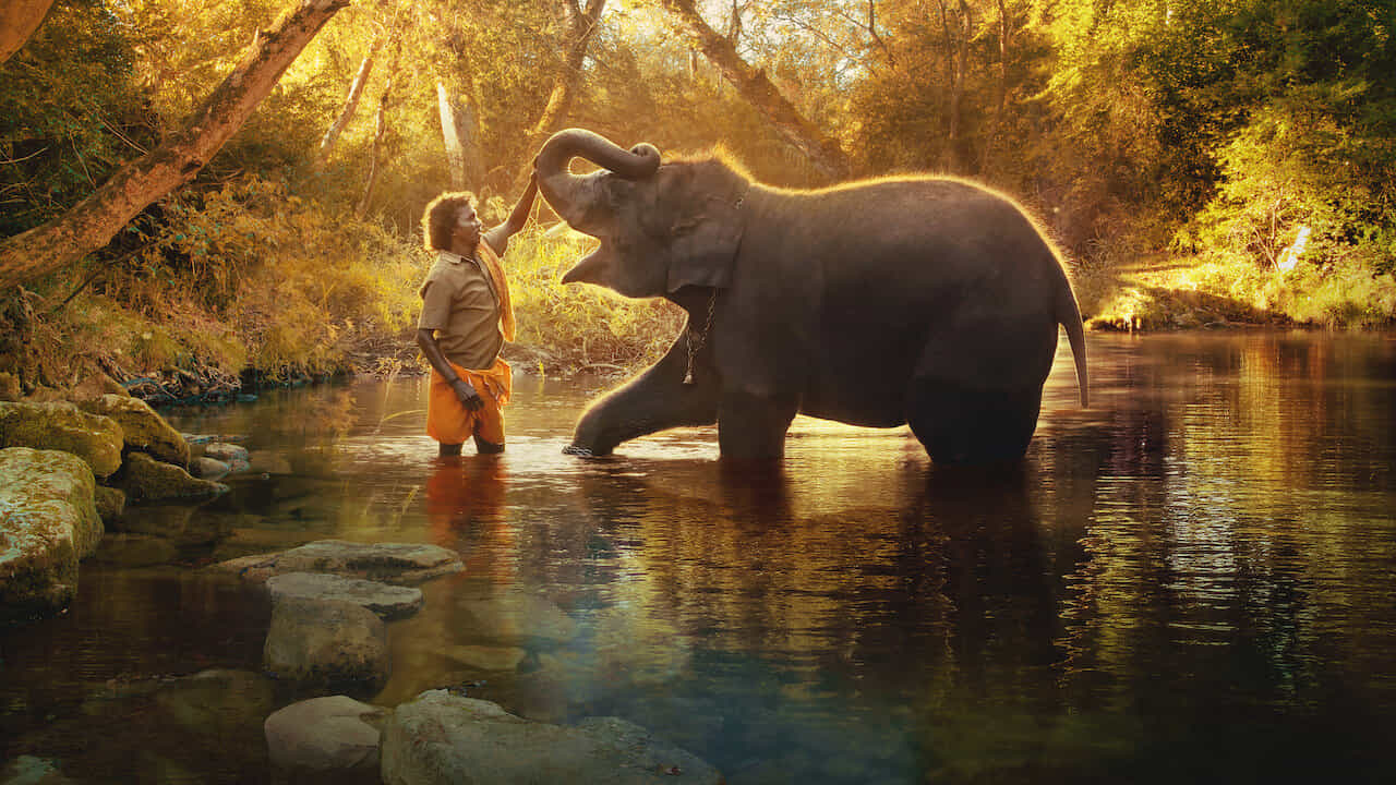 The Elephant Whisperers: ಭಾರತಕ್ಕೆ ಆಸ್ಕರ್: ‘ದಿ ಎಲಿಫೆಂಟ್ ವಿಸ್ಪರರ್ಸ್’ಗೆ ಅಕಾಡೆಮಿ ಪ್ರಶಸ್ತಿ The Elephant Whisperers: ಭಾರತಕ್ಕೆ ಆಸ್ಕರ್: ‘ದಿ ಎಲಿಫೆಂಟ್ ವಿಸ್ಪರರ್ಸ್’ಗೆ ಅಕಾಡೆಮಿ ಪ್ರಶಸ್ತಿ